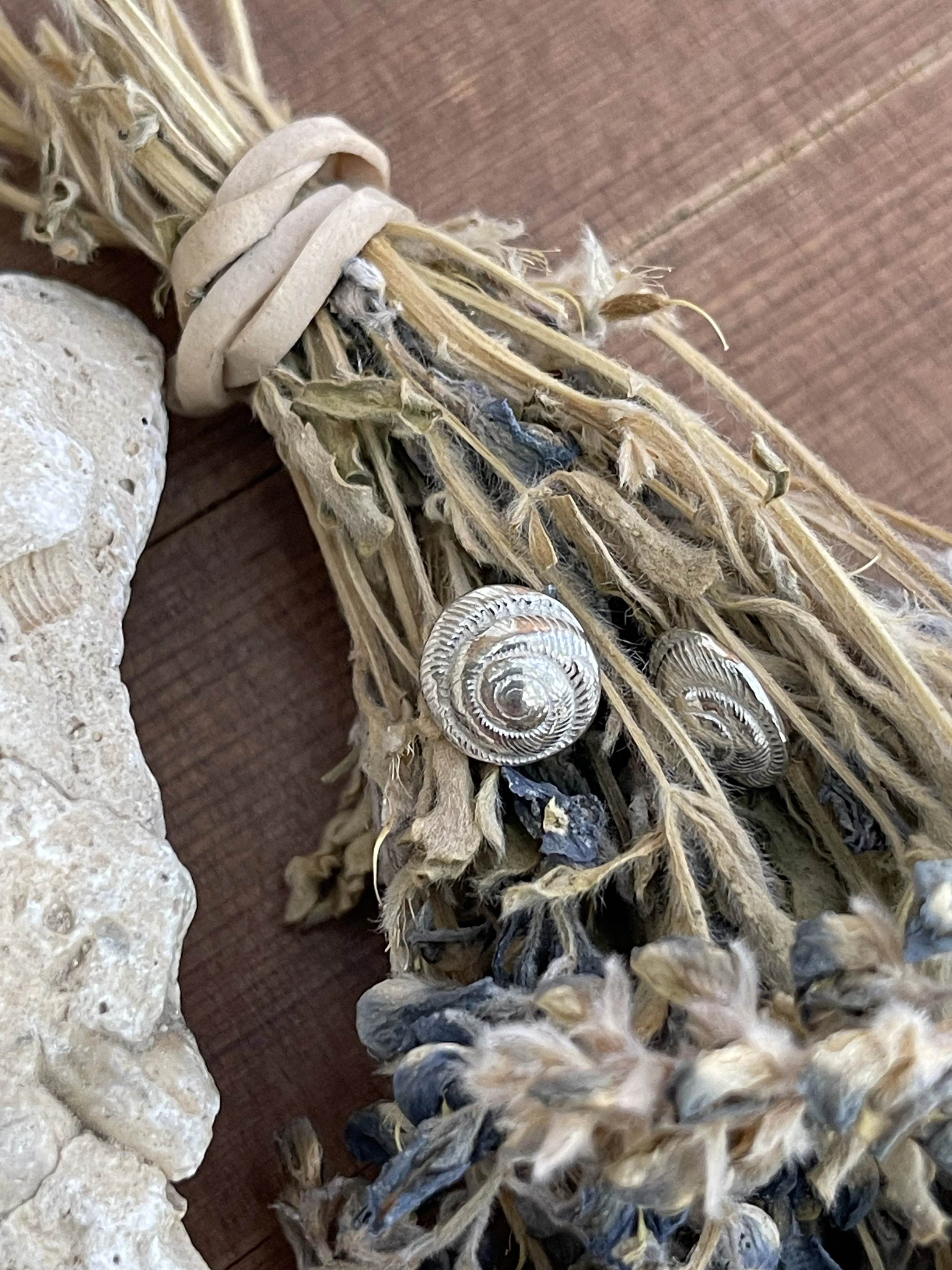Sterling Silver Tiny Snail Shell Studs