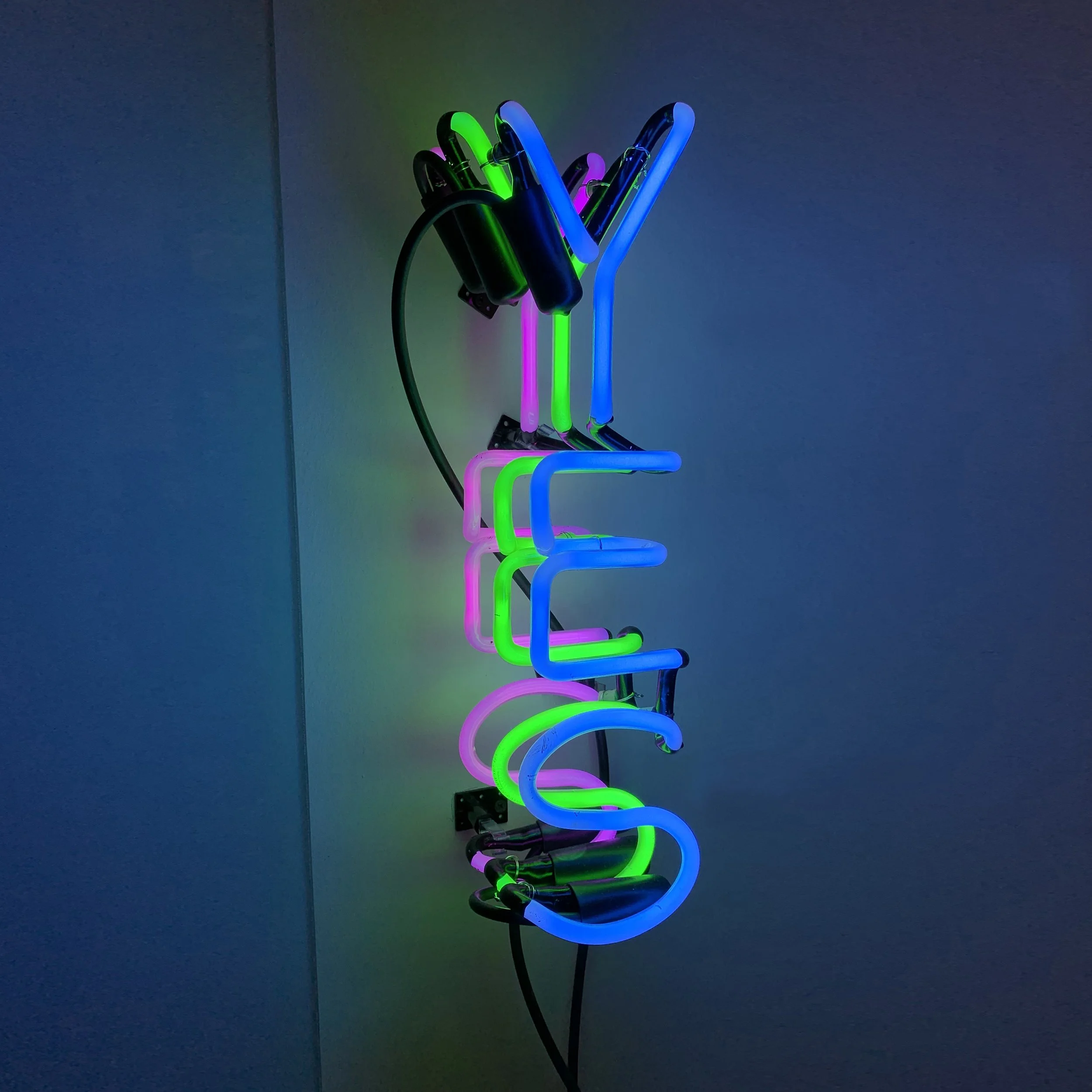 YES YES YES_edit.jpg