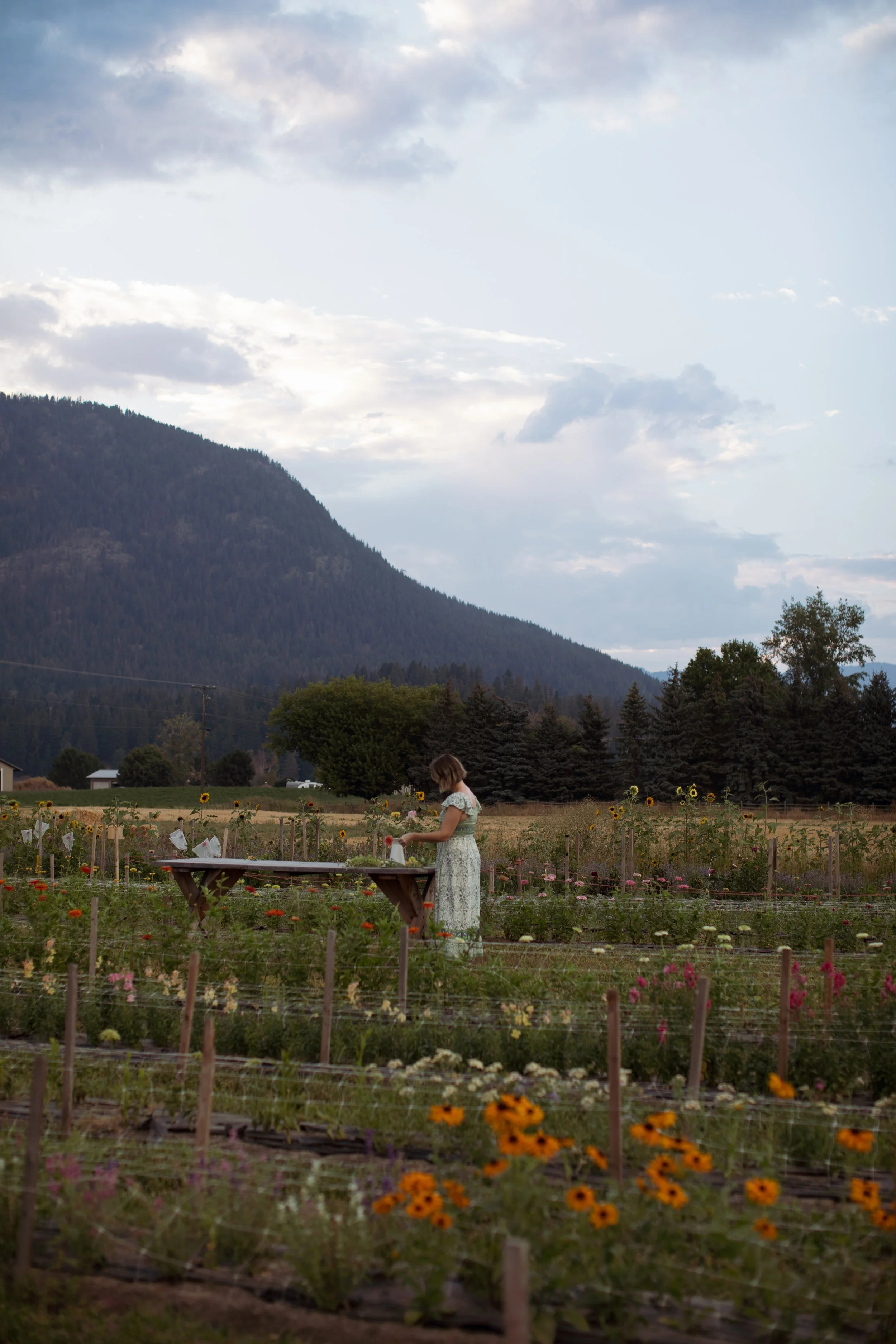 Lady arranging bouquet.JPG