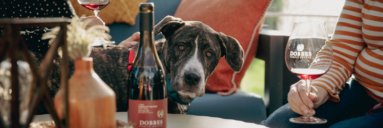 dog behind bottle of wine