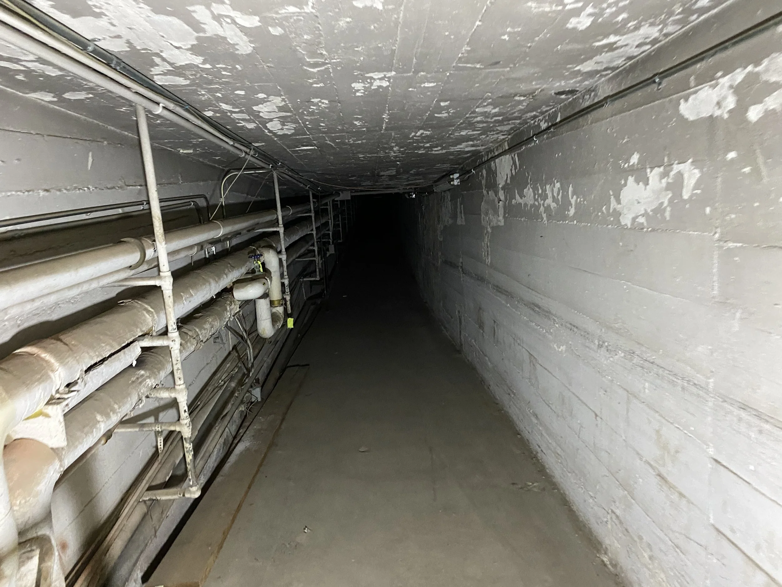 22-10-16-tunnel-boiler-site (4).JPG