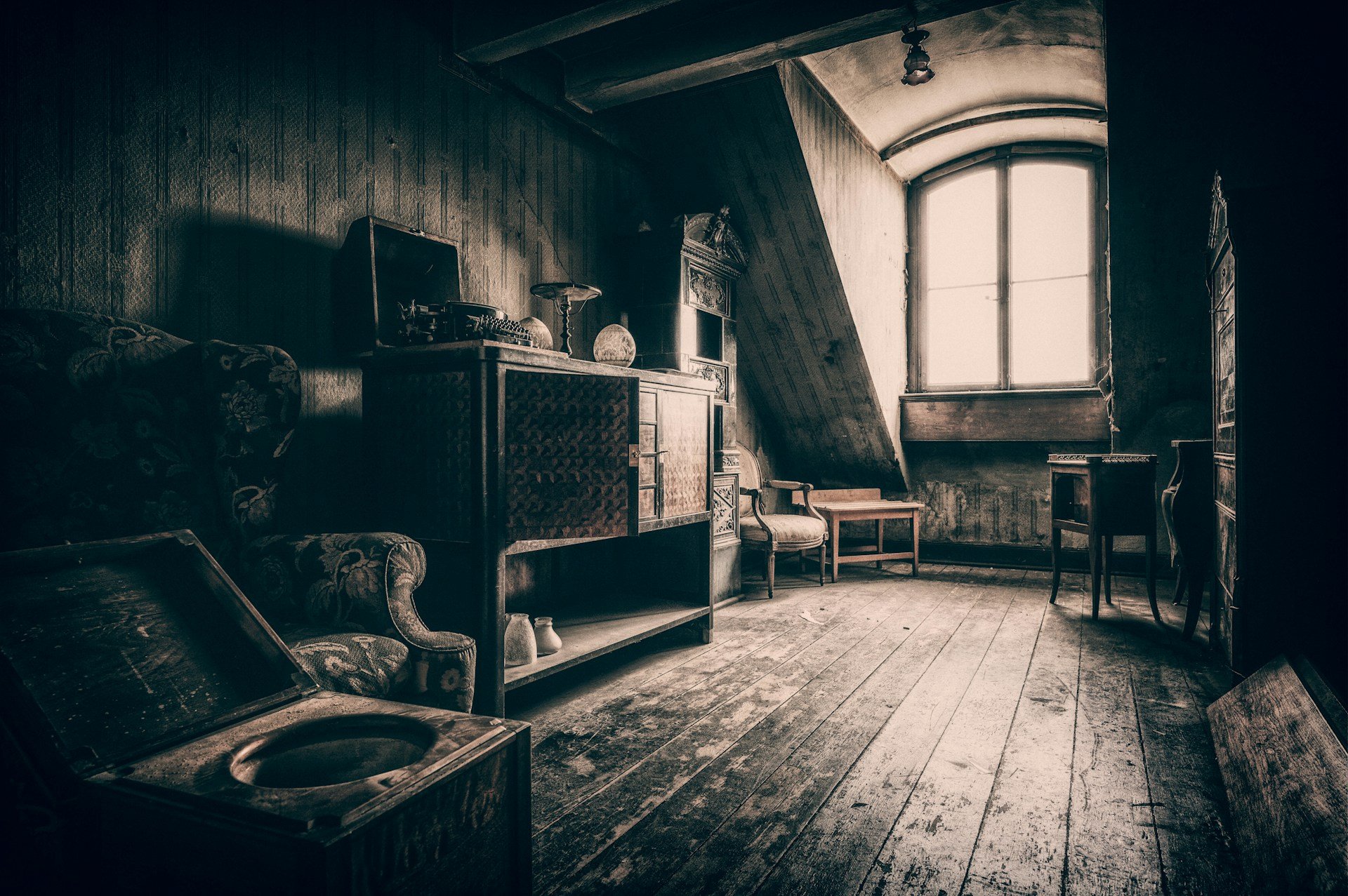 How To Remove Critters From Your Attic