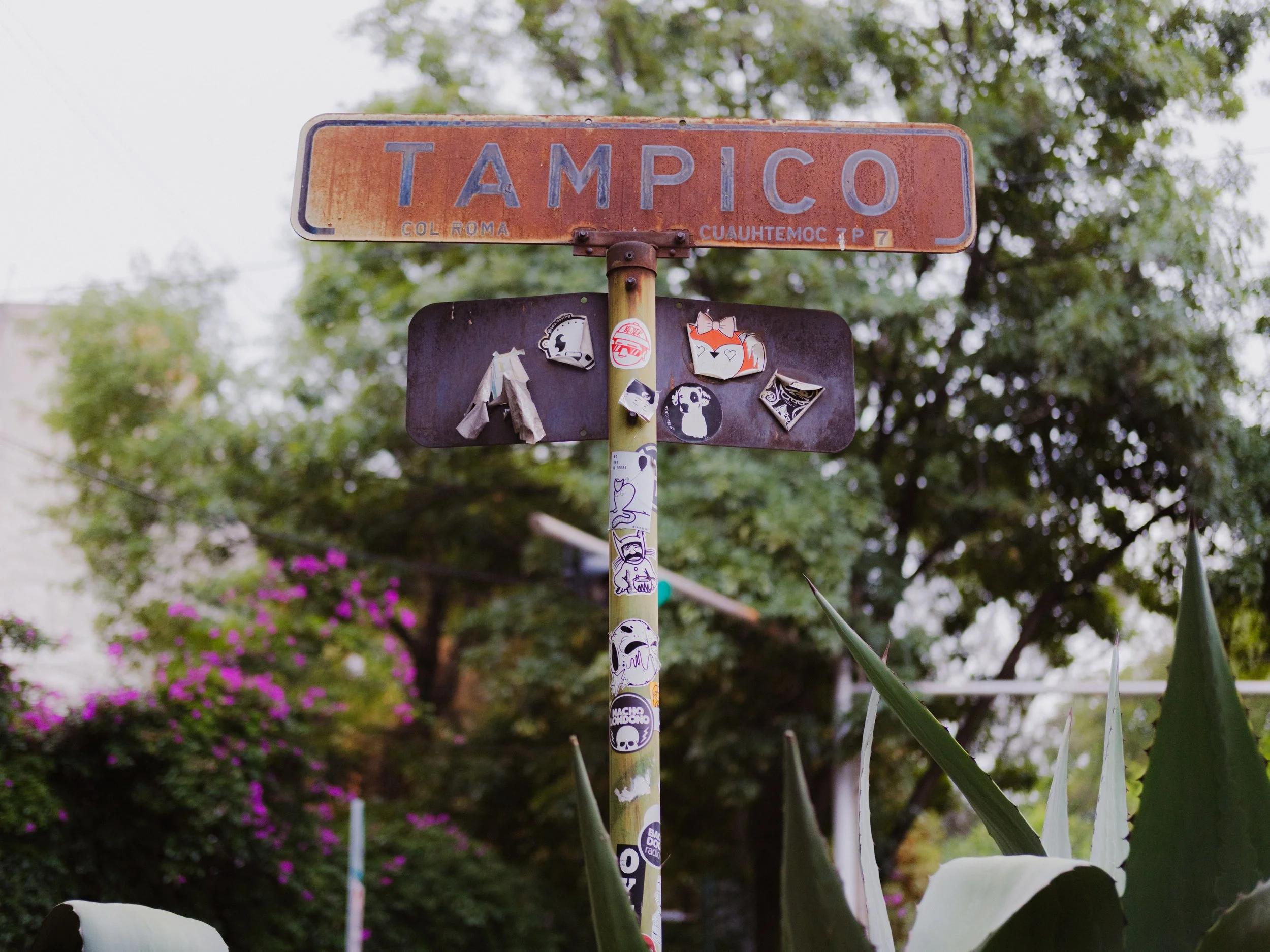 060926_CDMX_80%_AJV-7.jpg