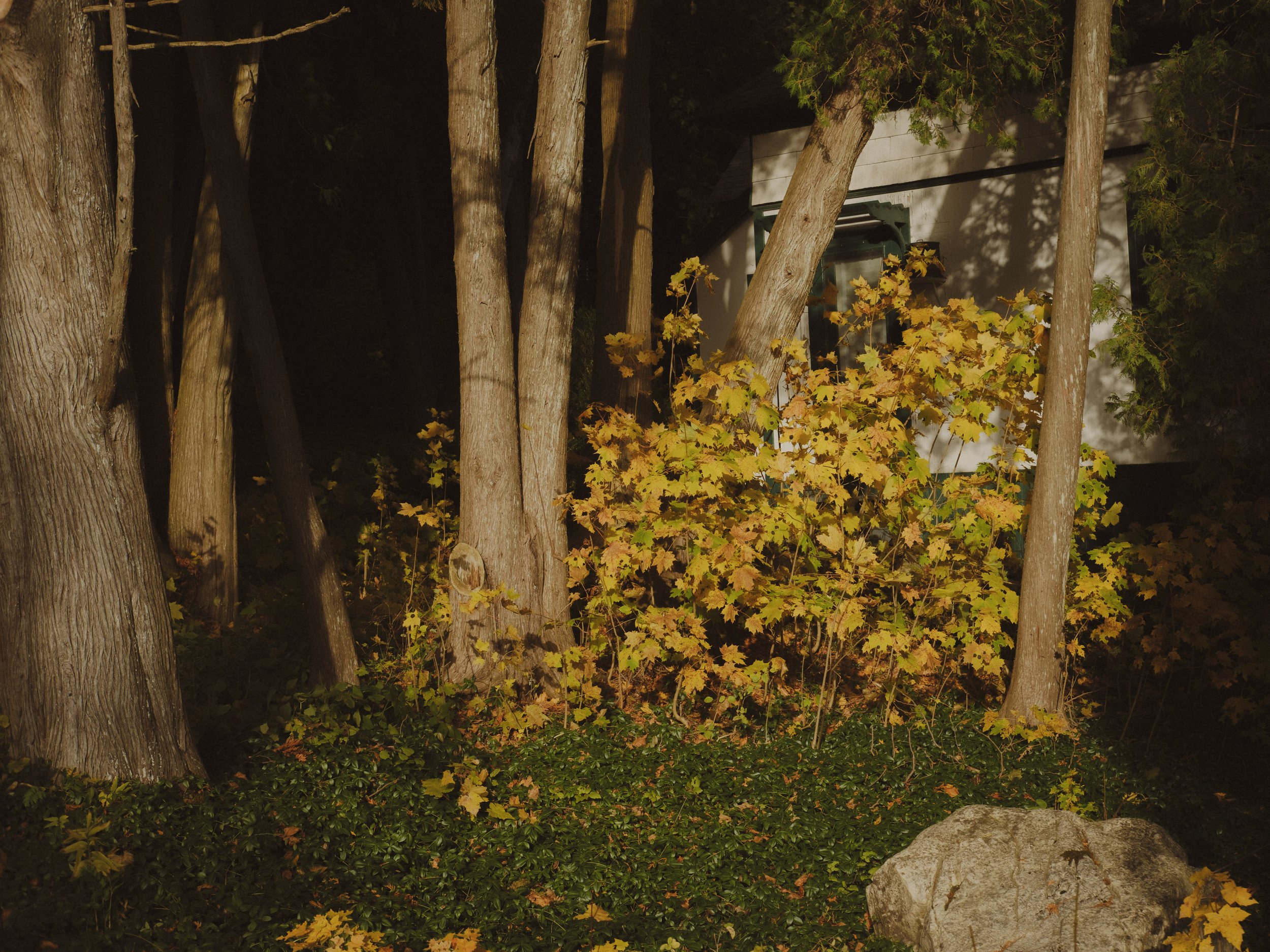 Chambers of Reflection Project_-176.jpg