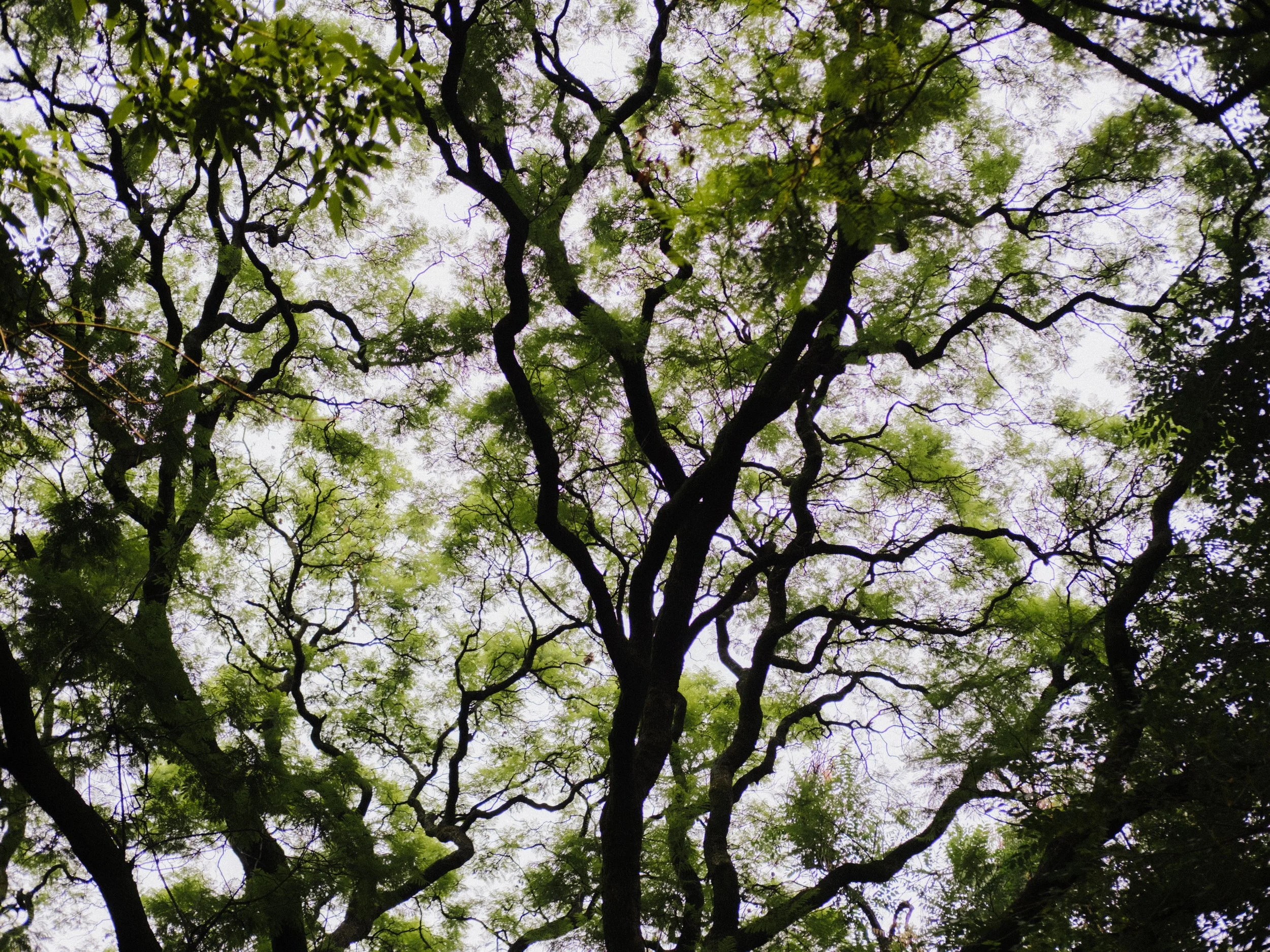 060926_CDMX_80%_AJV-6.jpg