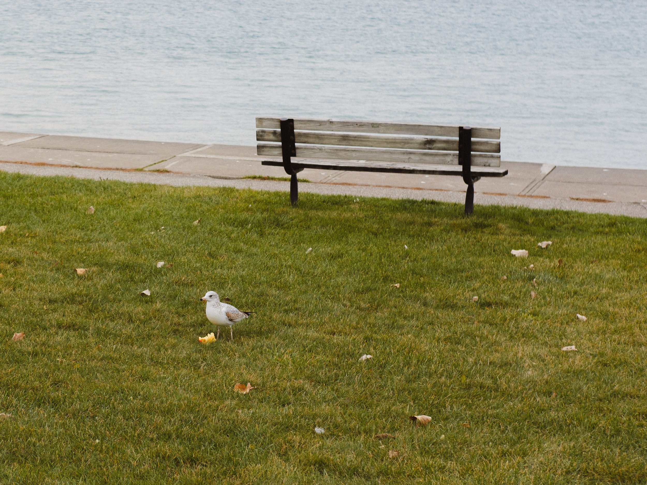 Chambers of Reflection_2025-26.jpg