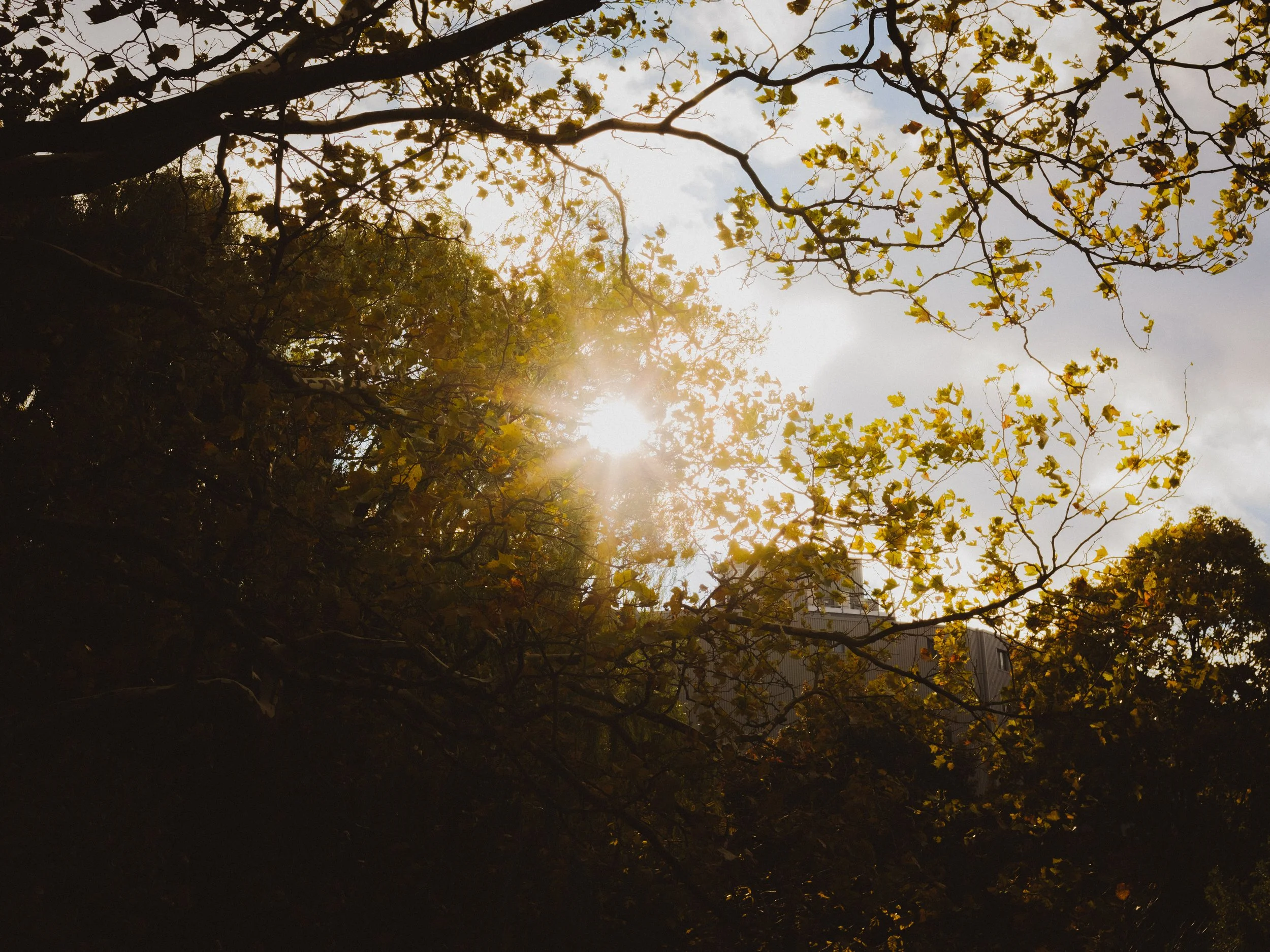 Chambers of Reflection Project_-051.jpg