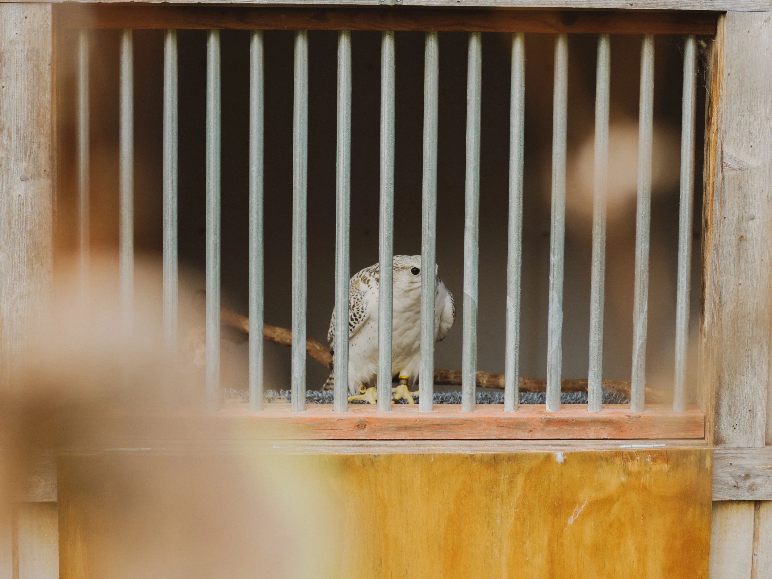 Crater Project_Social_-14.jpg