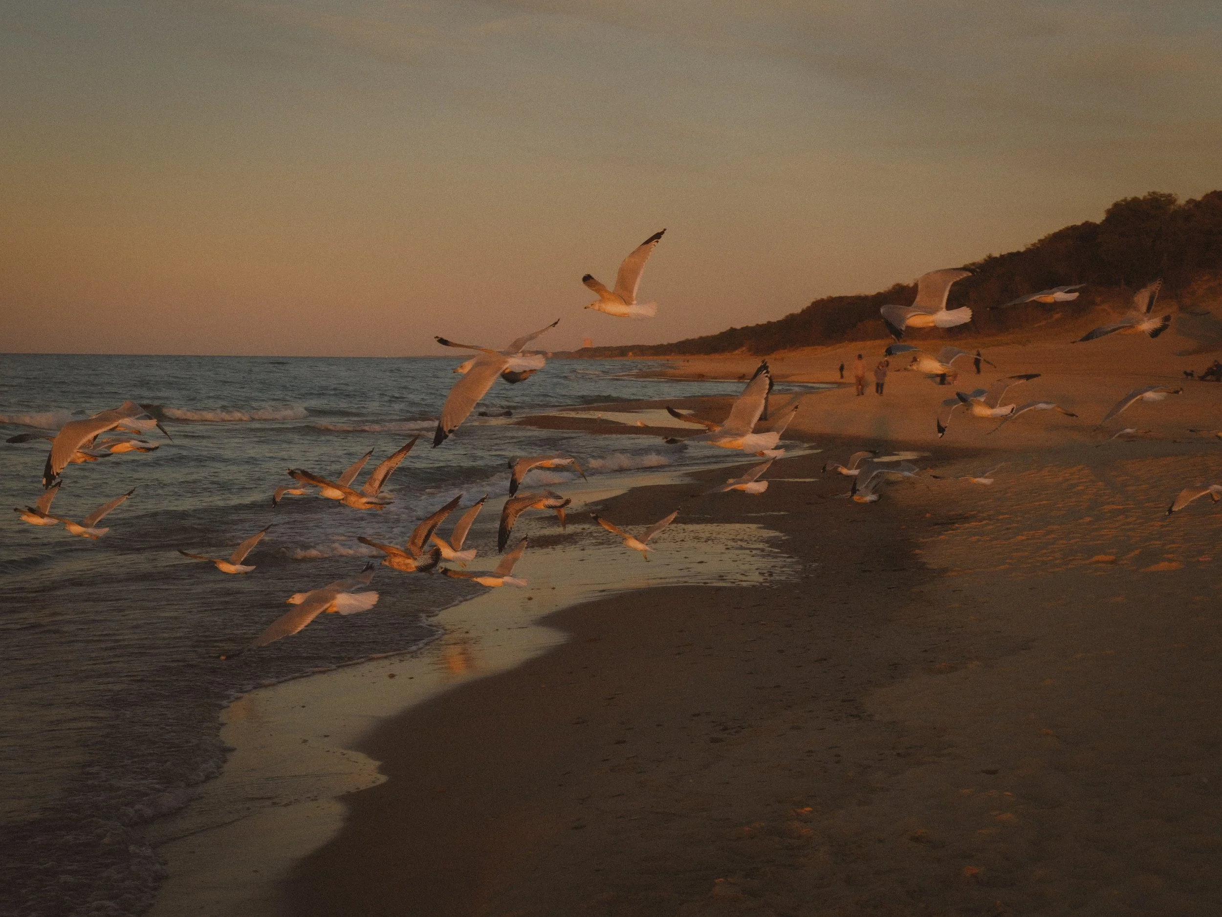 Chambers of Reflection Project_-004.jpg