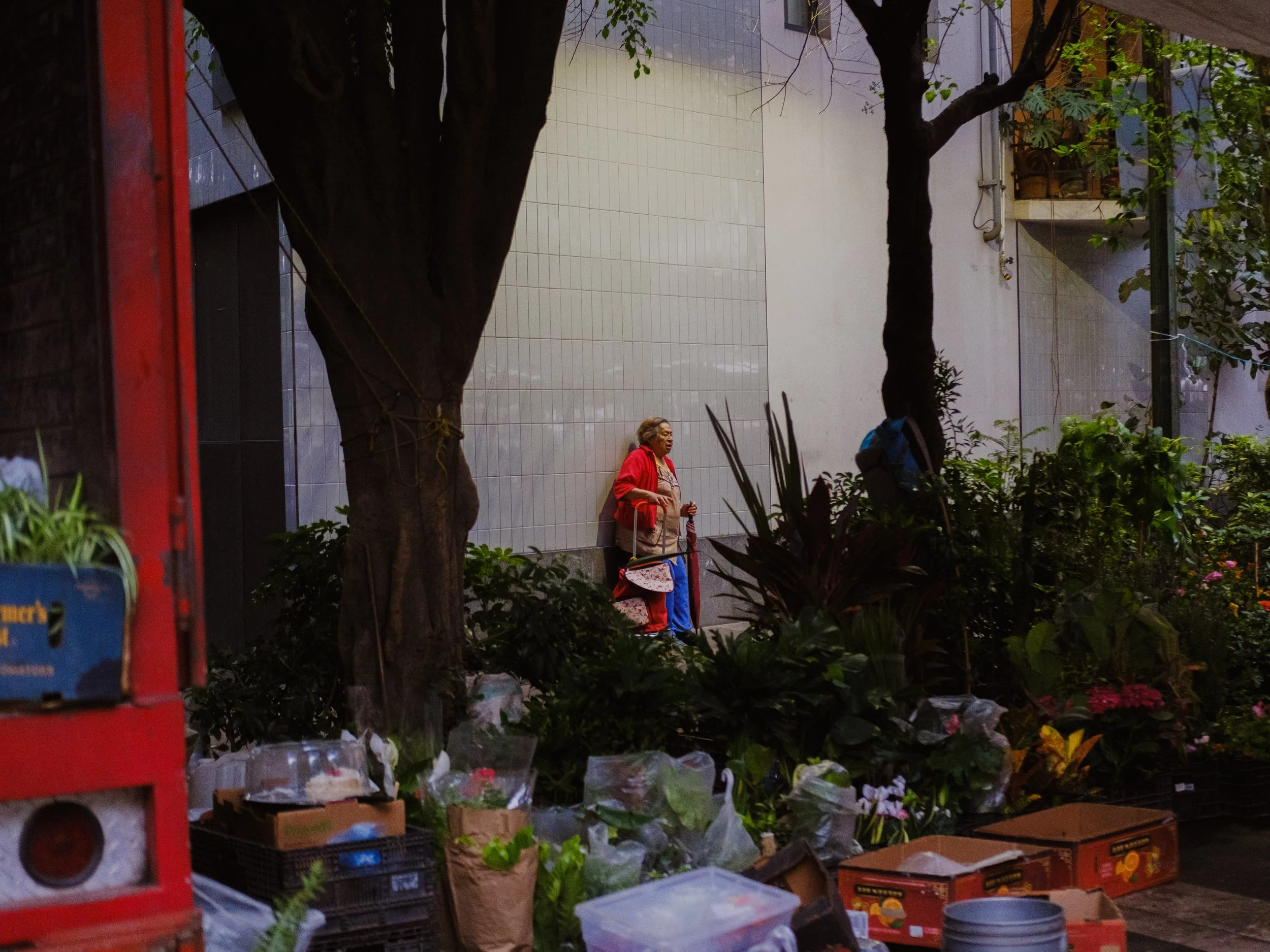 060926_CDMX_80%_AJV-9.jpg