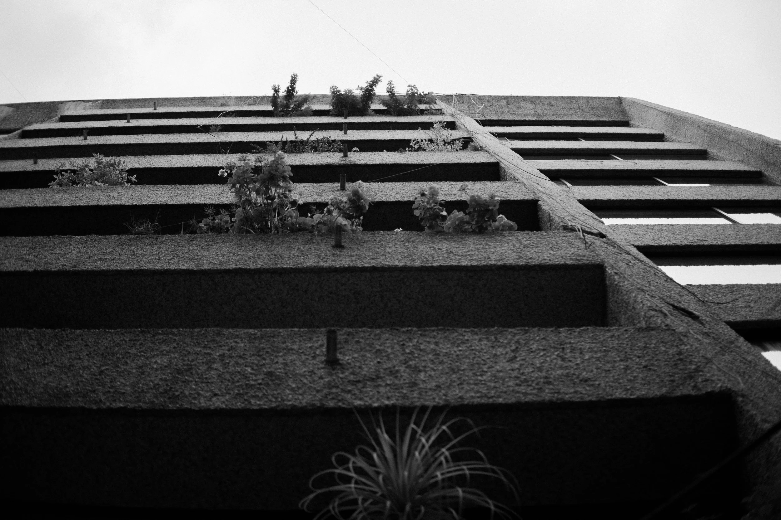 060926_CDMX_80%_AJV-1-3.jpg