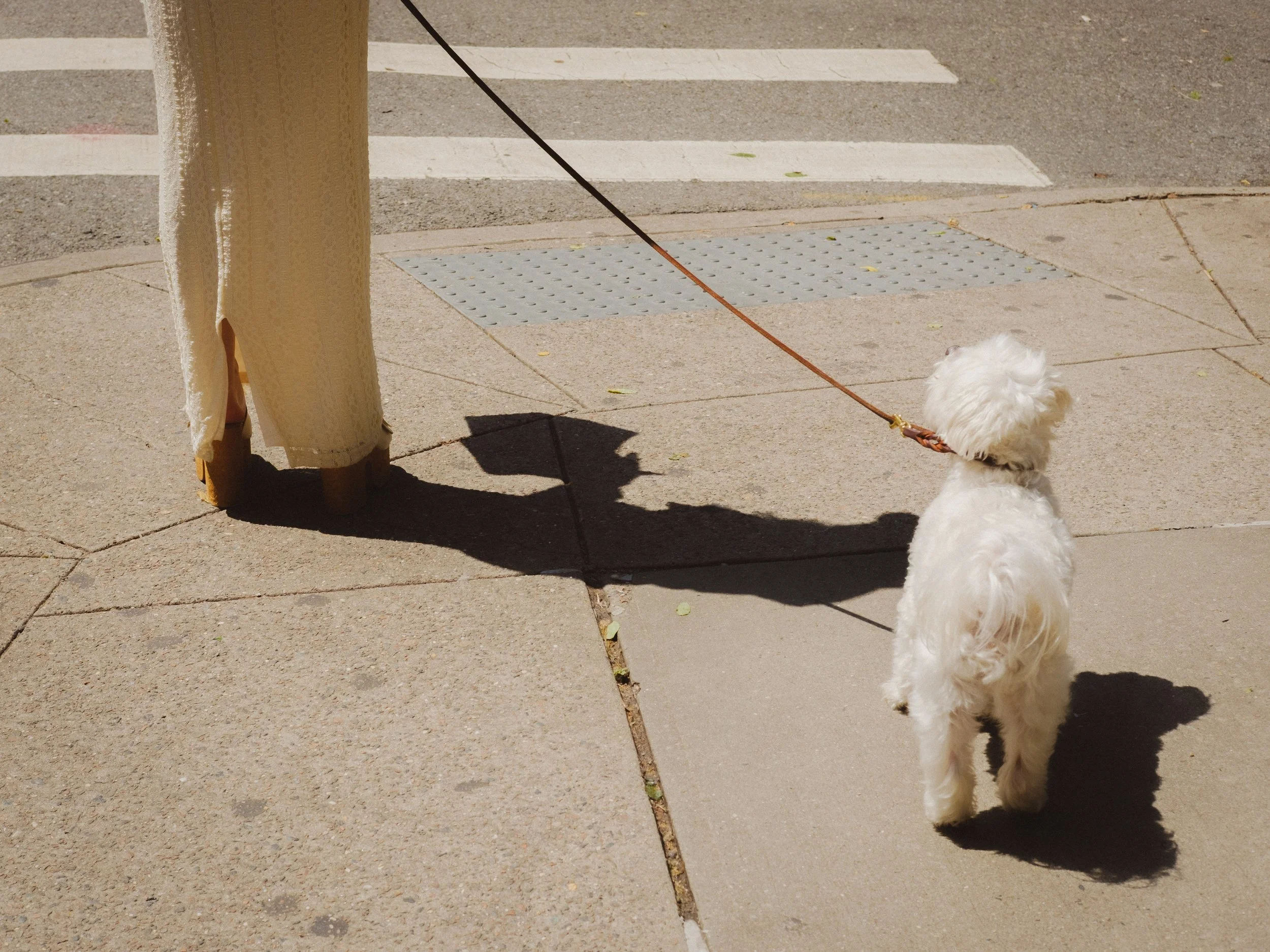 2025_New York_AJV-160.jpg