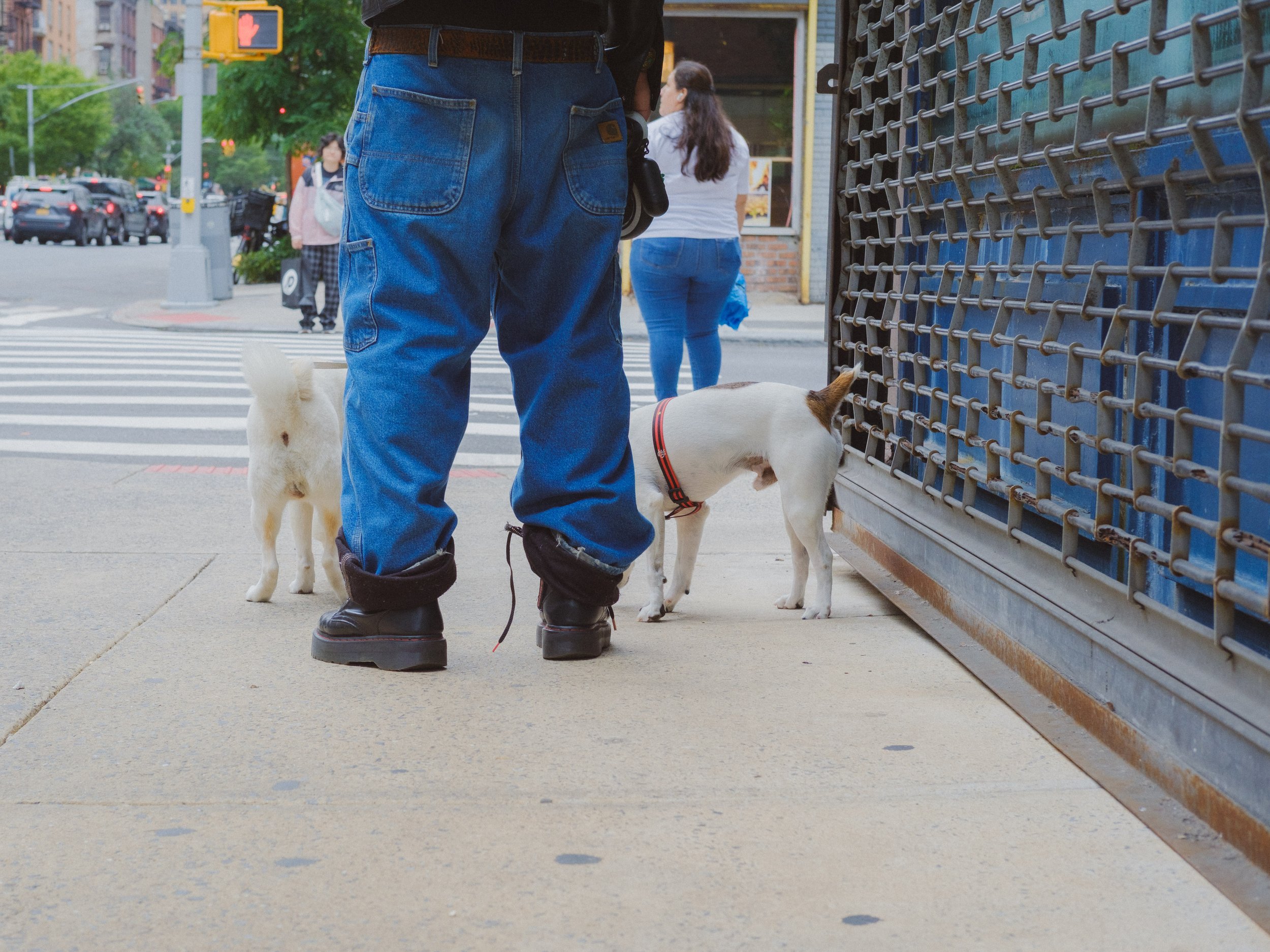 2025_New York_AJV-463.jpg