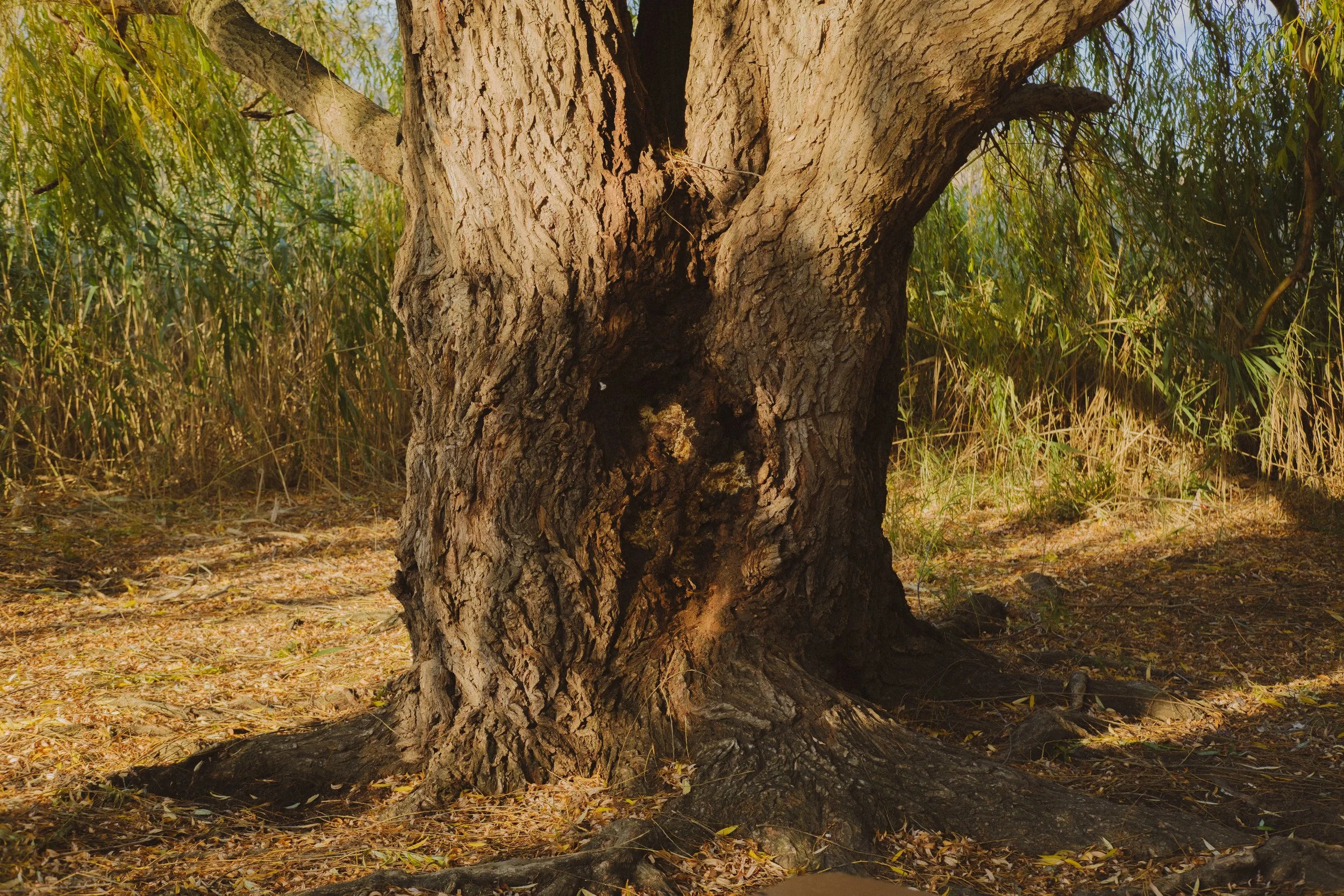 Chambers of Reflection Project_-072.jpg