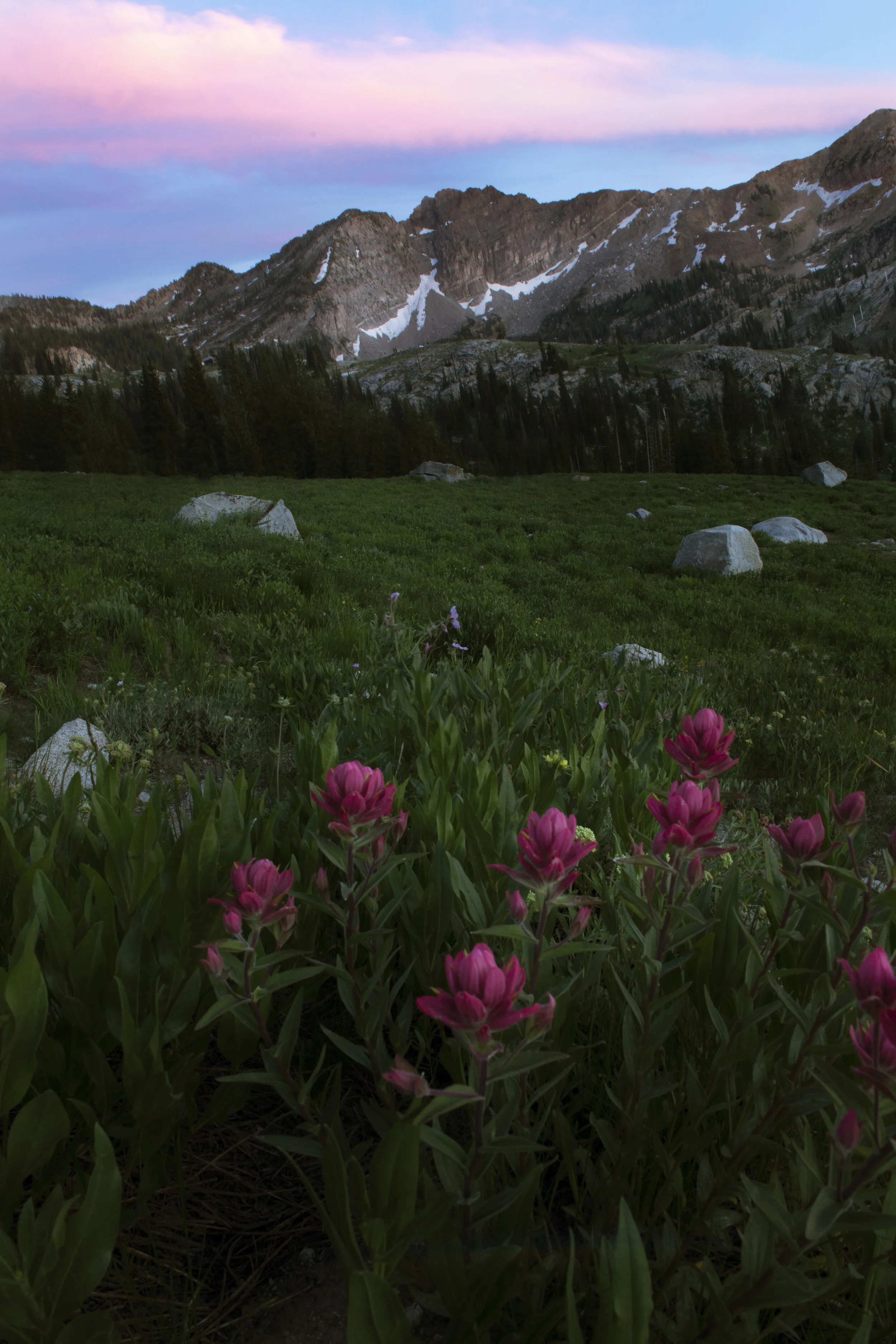 deavils castle and flower 2.jpg