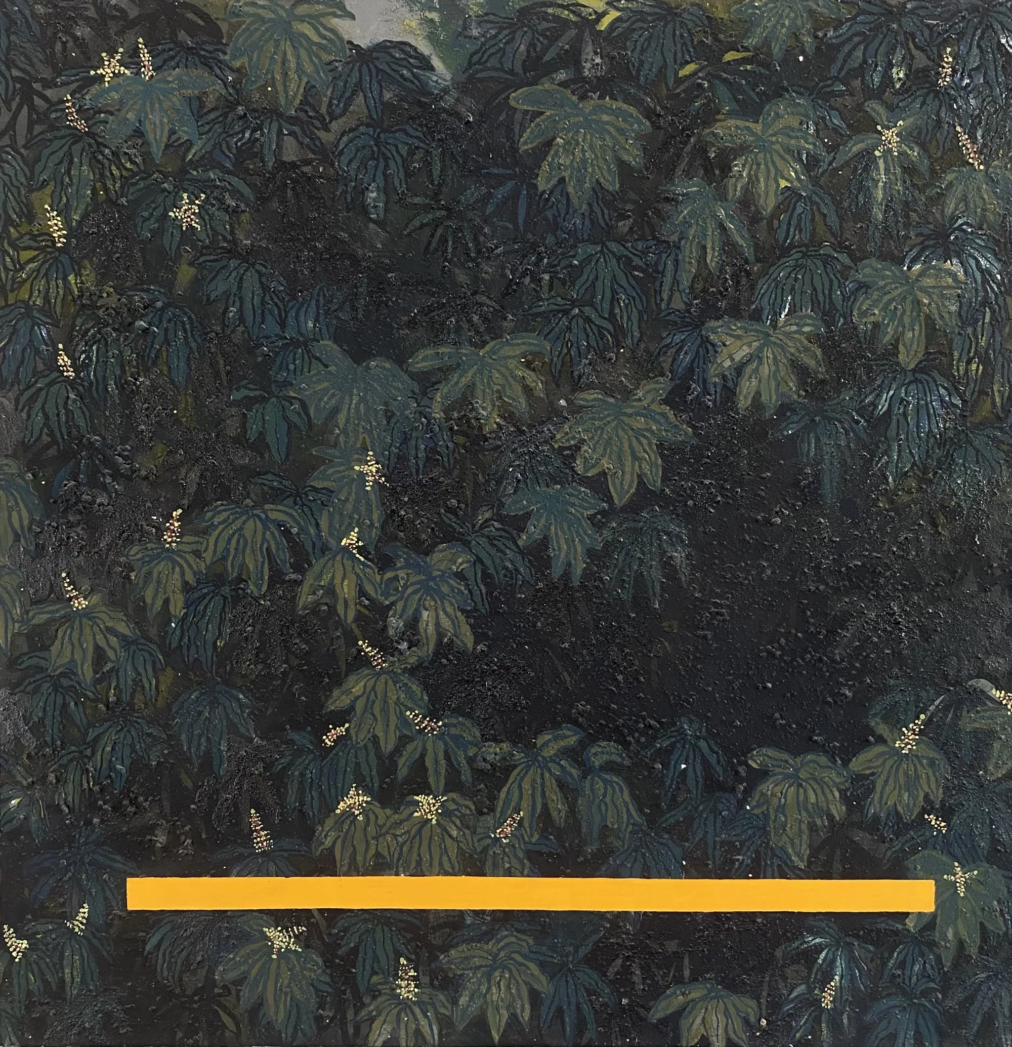 Ecoturismo y enclaves en Costa Rica