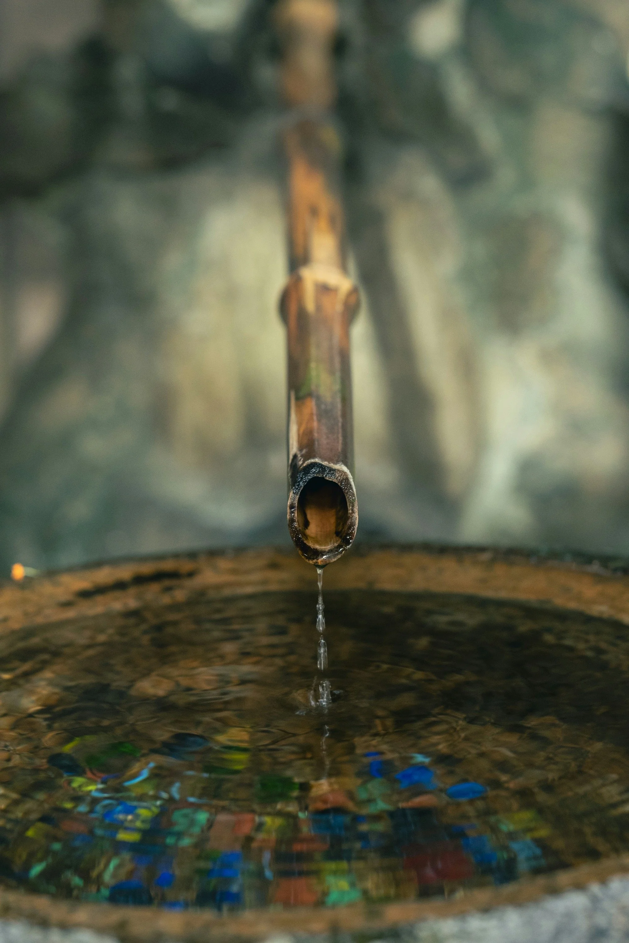 Third Sunday of Lent