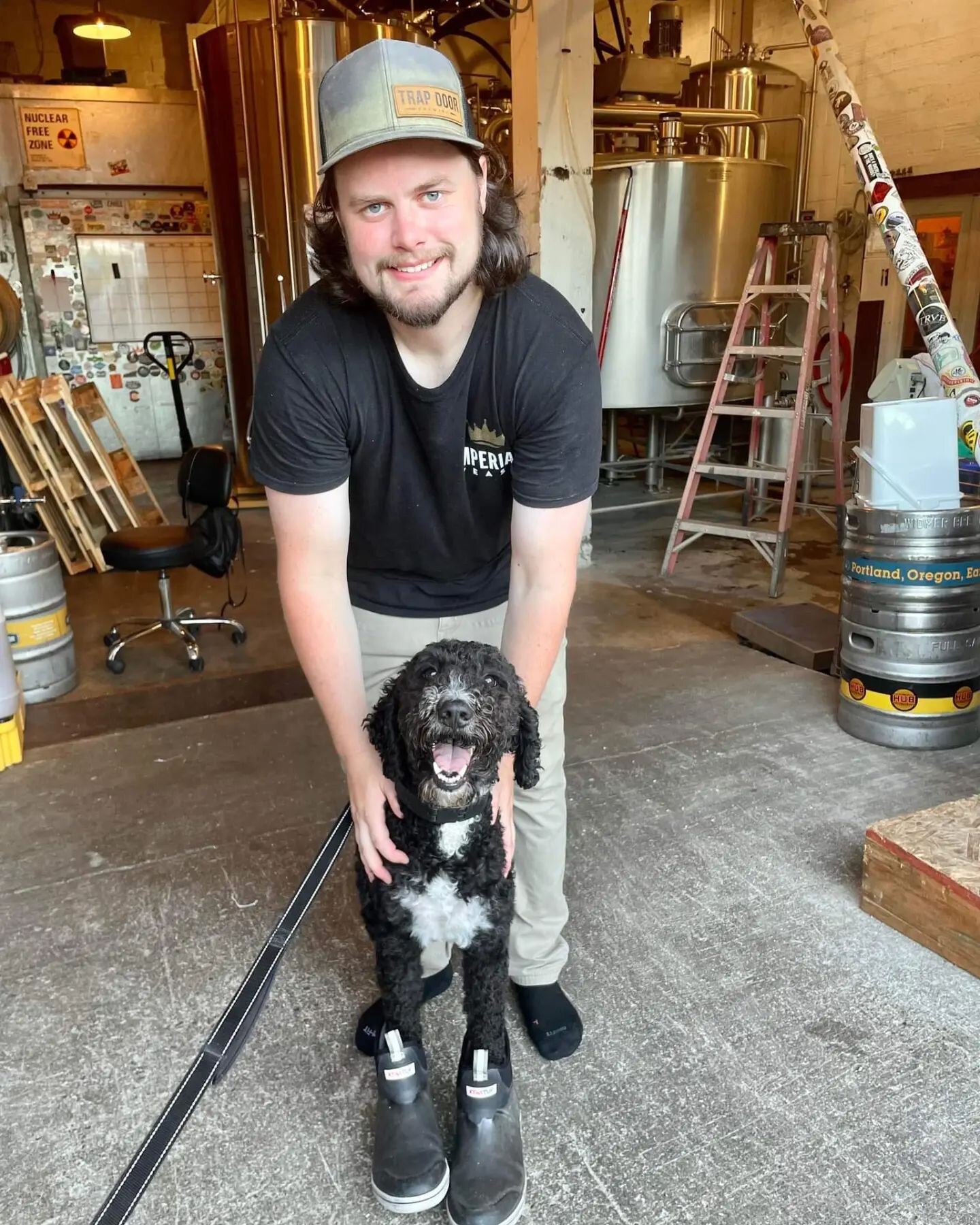 We've tapped Millie Saison! Named after Jake's very own @dogsoftrapdoorbrewing!

This saison was brewed to mix modern hop appeal with old brewing tradition. Using pisner, wheat, spelt, and rye all grown in WA by @lincmalt softened the body while keep