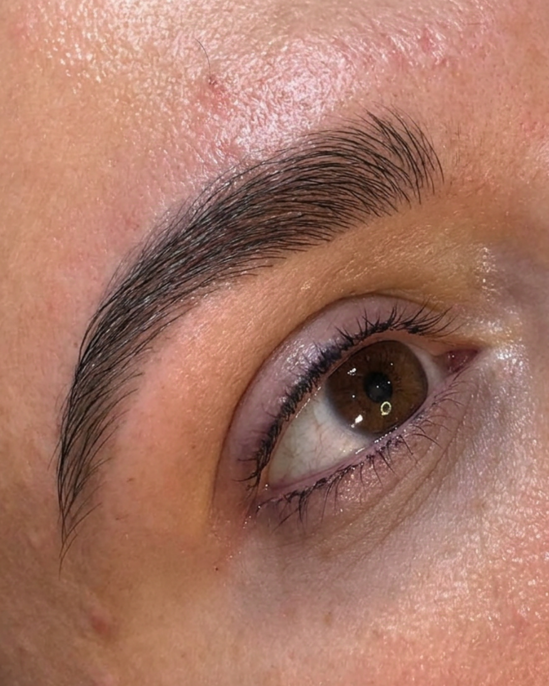 Signature brows.png
