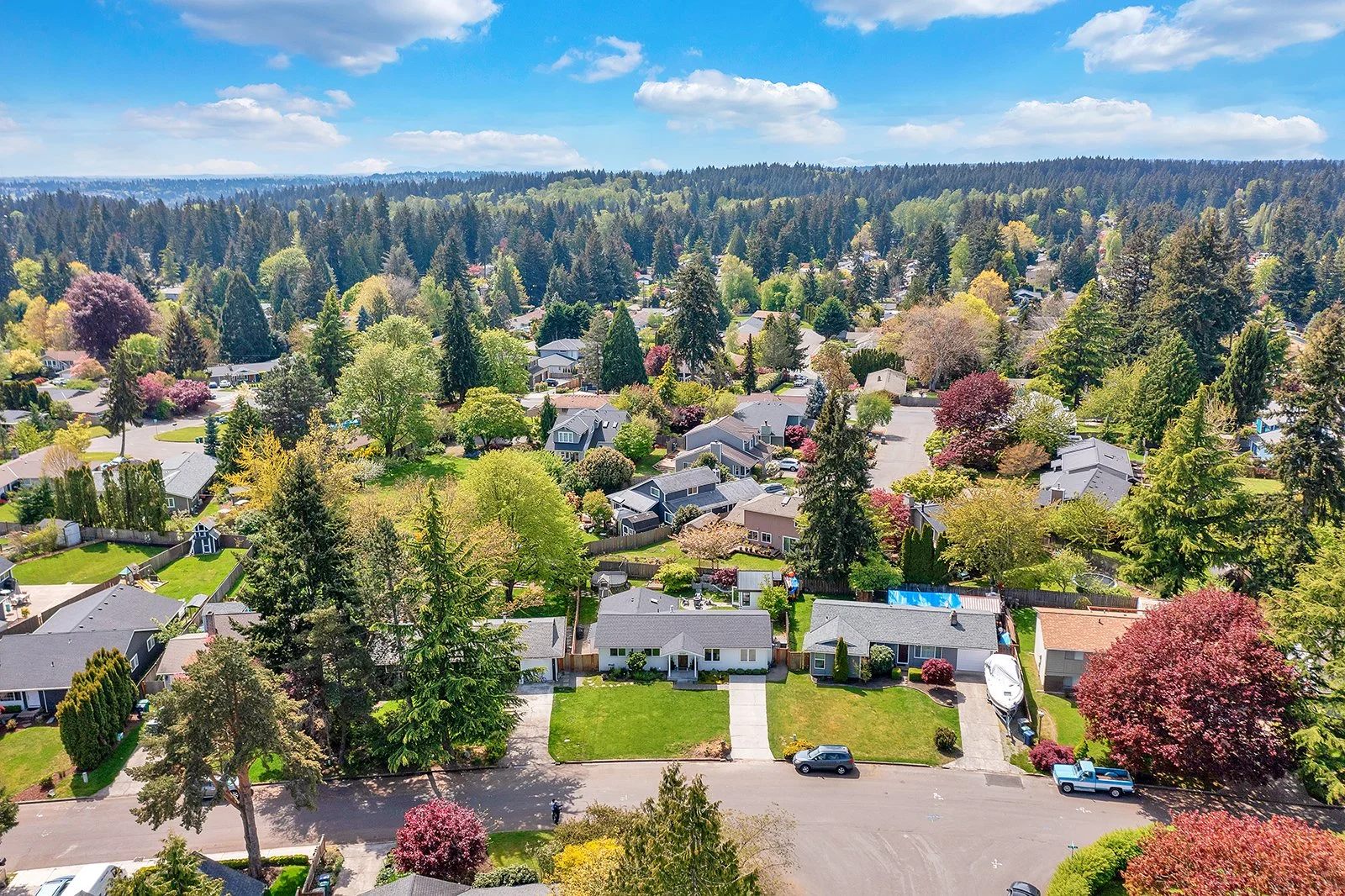 Finn Hill neighborhood in Kirkland featuring hillside homes with Cascade Mountain views, mature landscaping, and proximity to Bastyr University wellness community for families and view buyers