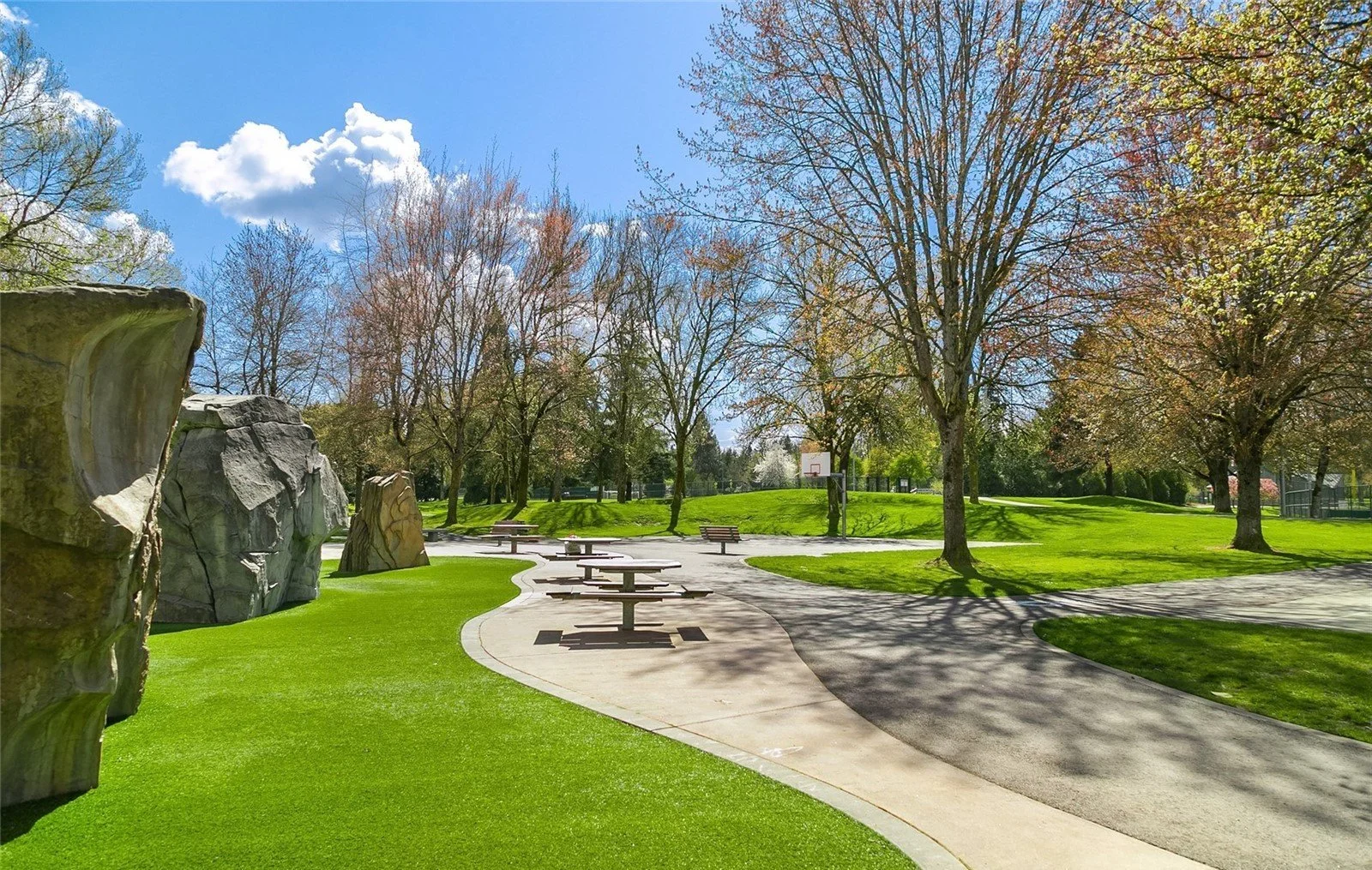Grass Lawn Park, the neighborhood anchor and community gathering space in Redmond