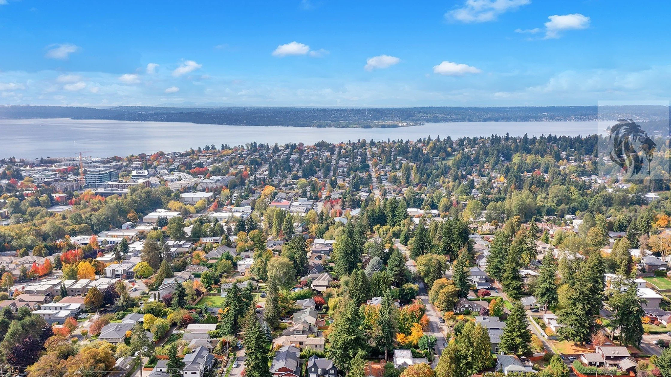 Aerial view of Kirkland Highlands luxury neighborhood on Seattle's Eastside — home to Casady Homes communities Celestia, Obsidia, and Kirkland Highlands Estates, represented exclusively by Freddy Delgadillo of Realogics Sotheby's International Realty