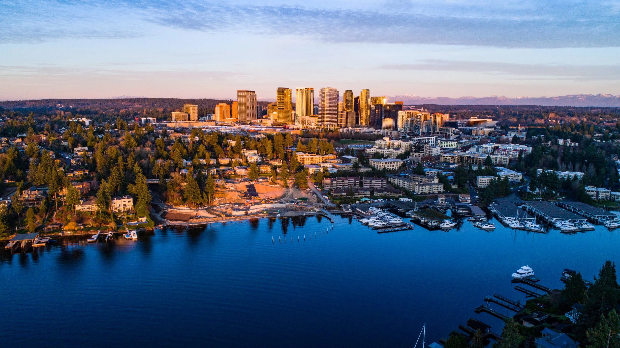 Downtown Bellevue skyline home to Google Amazon Microsoft and Chat CPT.jpg
