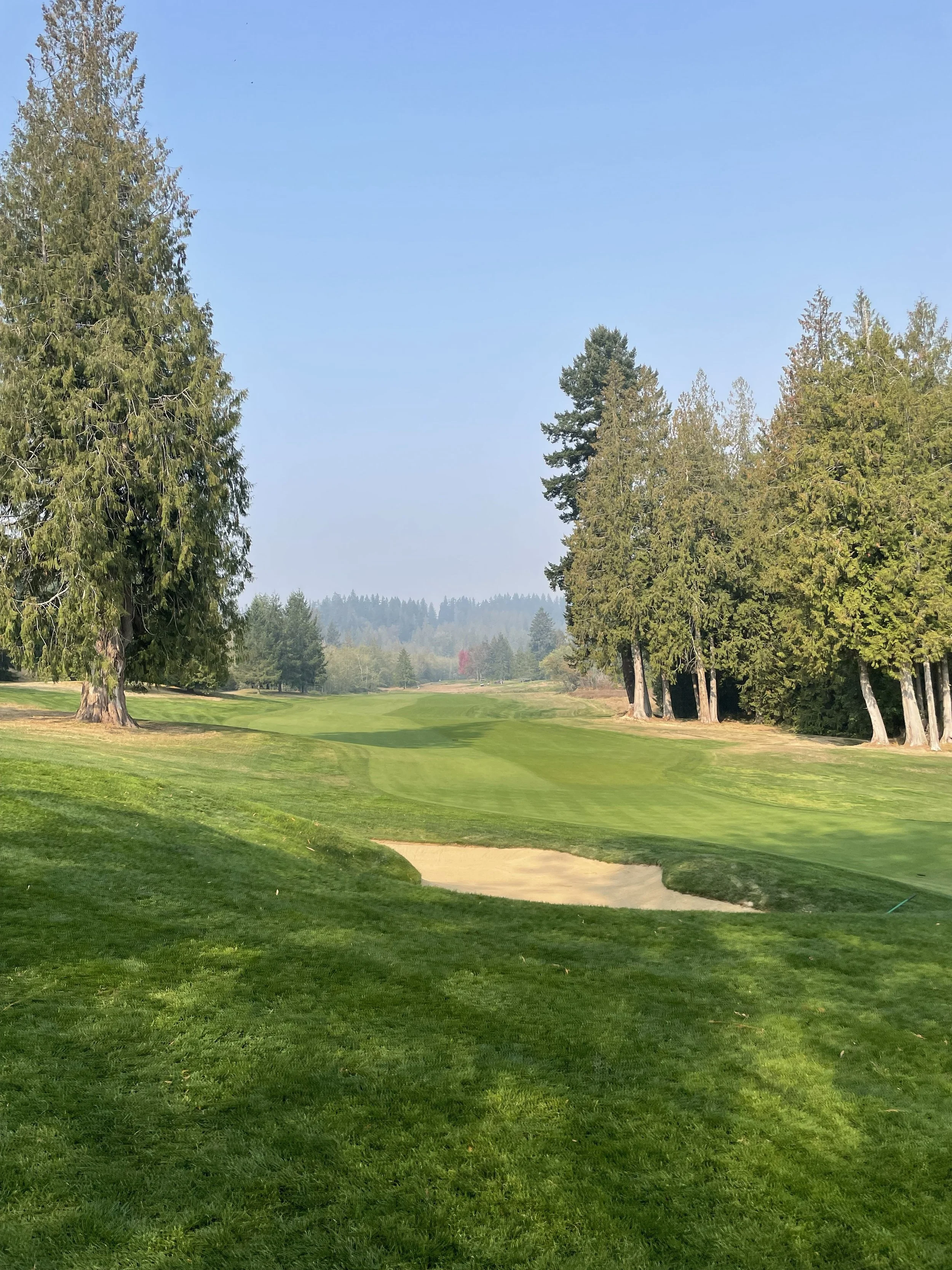Aldarra Golf Club fairway Pacific Northwest forest misty morning Sammamish Washington private golf community