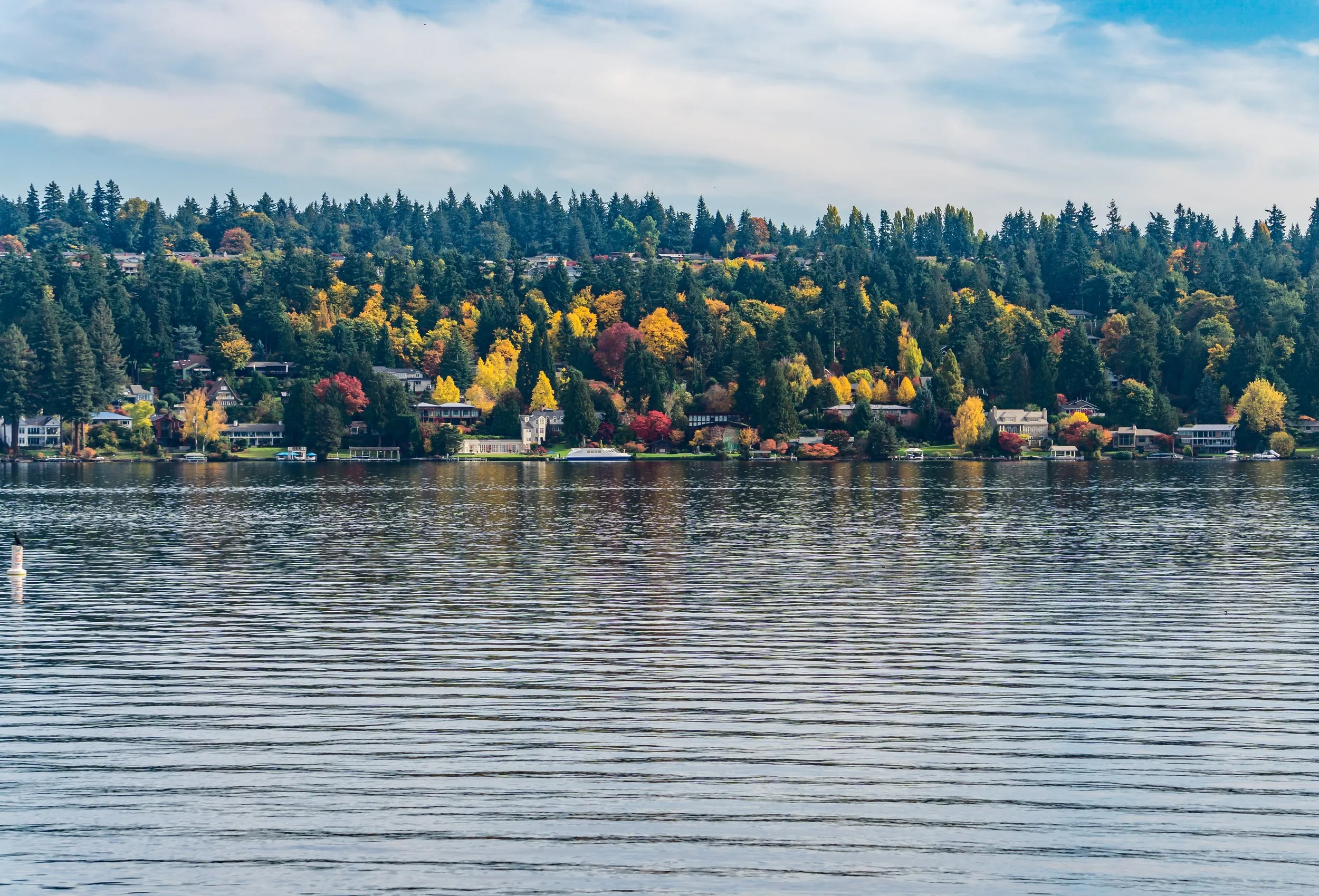 Medina waterfront gated estate entrance with privacy landscaping - Home to Bill Gates home Xanudu 2.0
