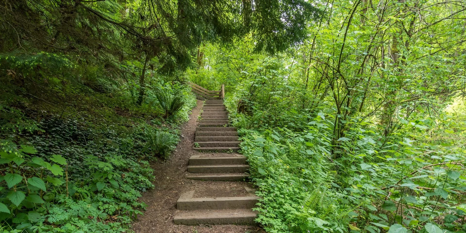 Coal Creek Trail access from Lakemont Bellevue — Cougar Mountain Regional Wildland Park hiking