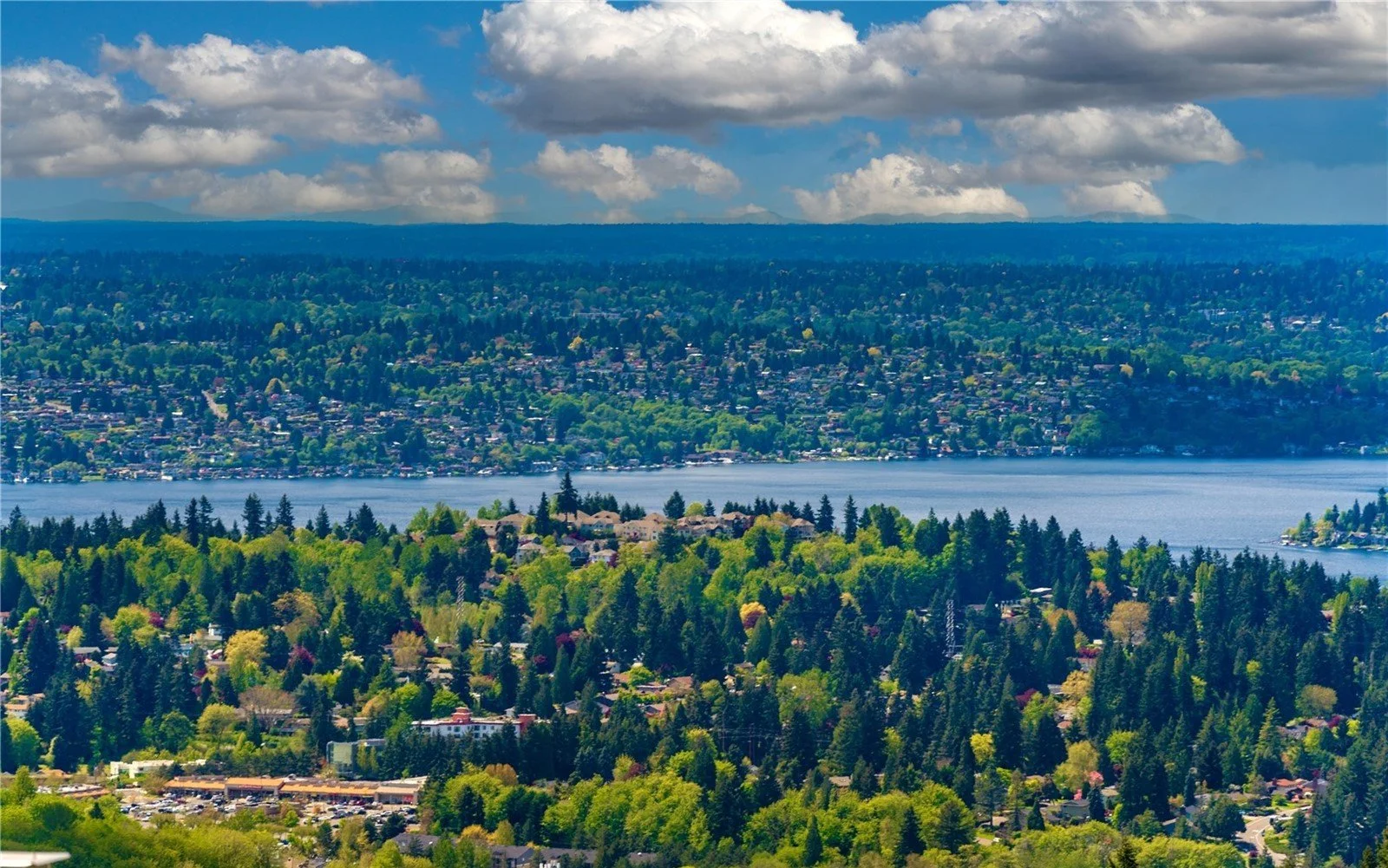 The Summit Bellevue luxury home exterior custom estate