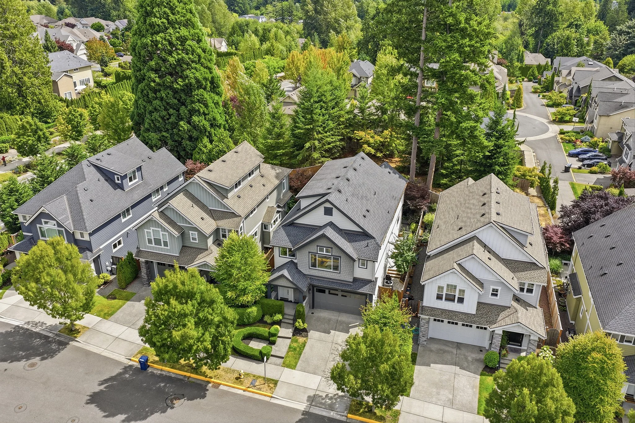 Aerial view of Education Hill Redmond neighborhood homes with Cascade Mountains in the background