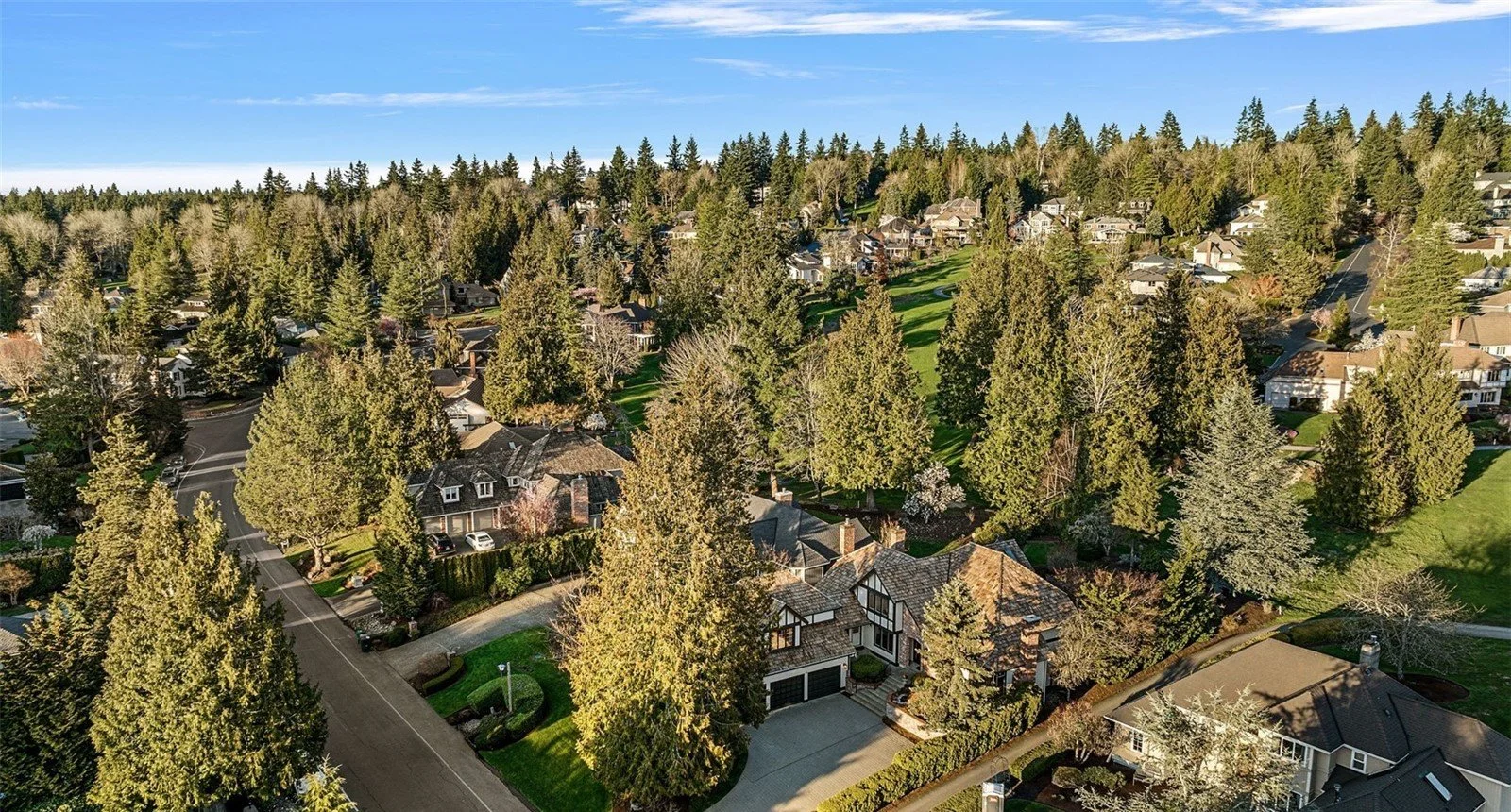 Aerial view of the Bear Creek neighborhood on the Redmond-Woodinville border, showing wooded acreage lots and mature tree canopy