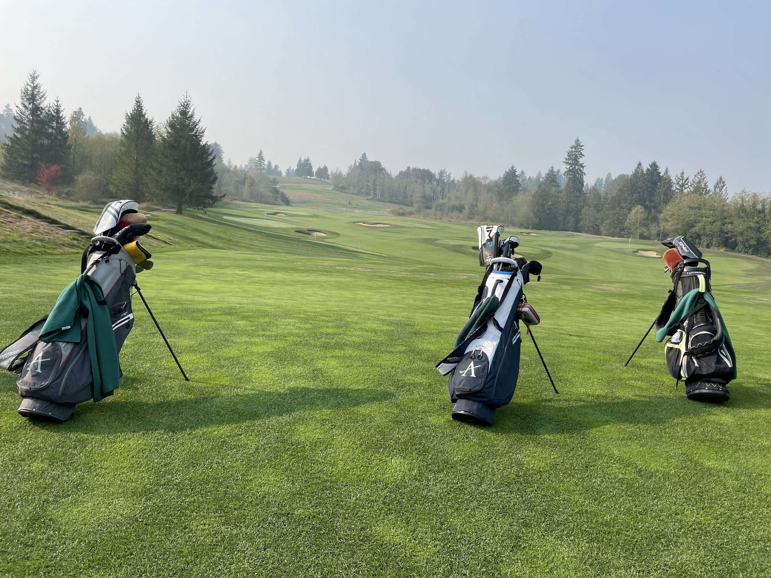 Aldarra Golf Club sunny fairway championship golf Sammamish Washington luxury estate homes gated community Eastside