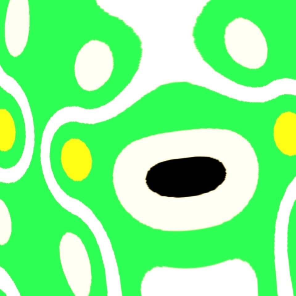 7079.jpg