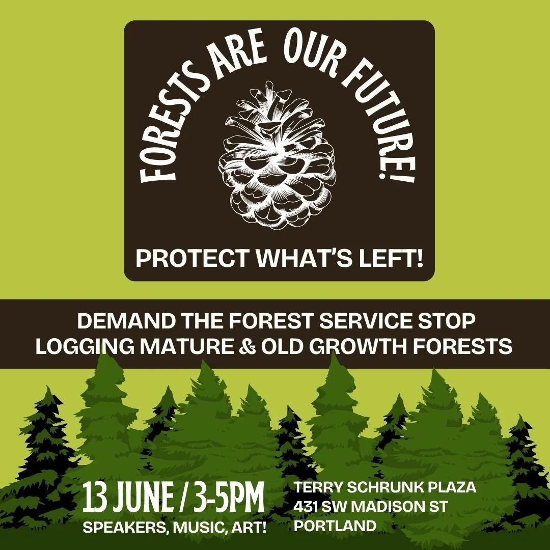 🚨 BREAKING: The Forest Service and Biden Admin are preparing to craft guidelines that will impact PNW forests for decades to come. Join us in Portland on 6/13 to demand a moratorium on logging mature and old-growth forests to protect our communities