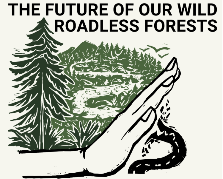 Community Meeting on Roadless Forests // Seattle