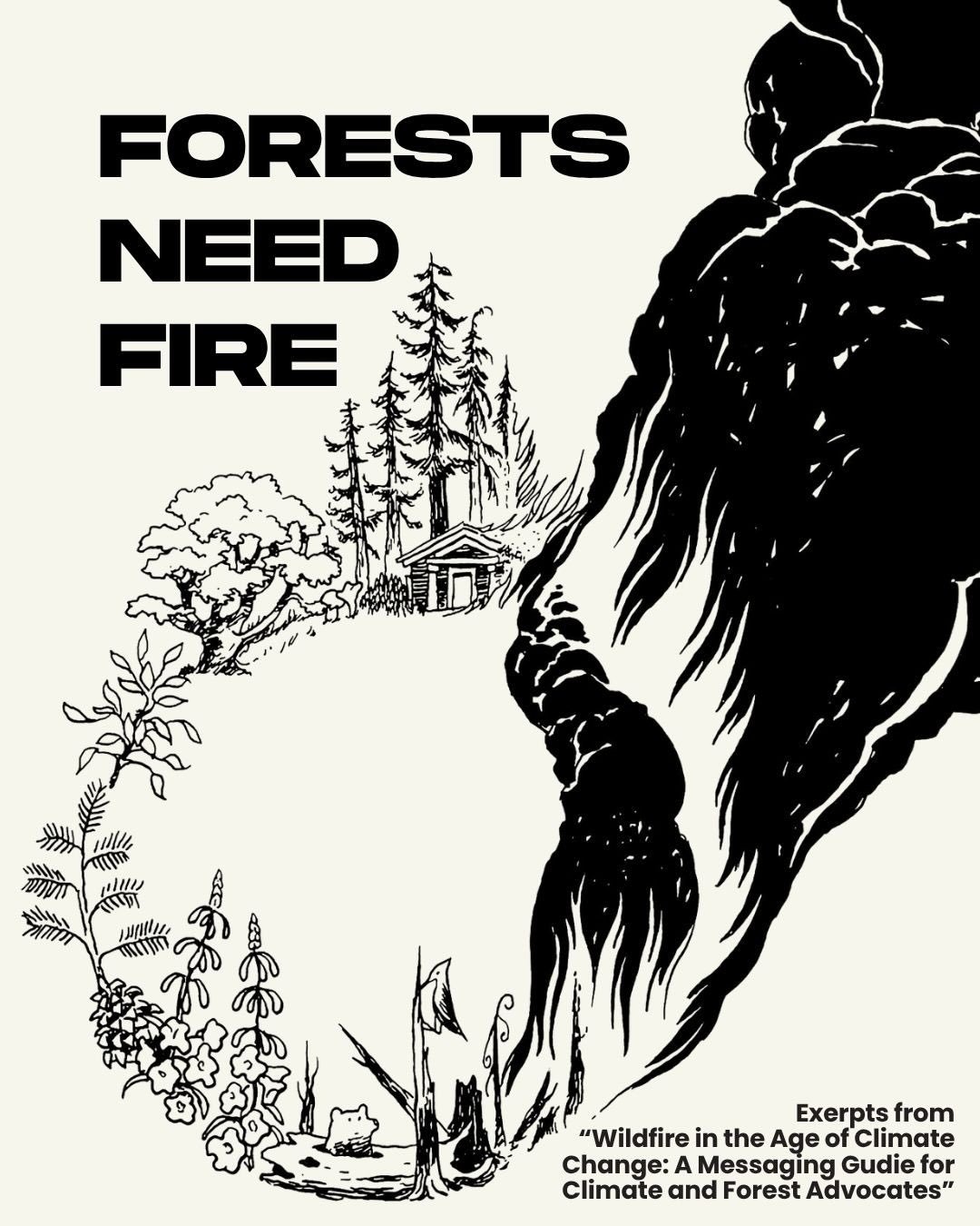 Our forests need fire! 🔥

Despite common rhetoric, fire has always been a necessary, natural, and restorative process for our forest ecosystems. Decades of suppression tactics and barriers to Indigenous burning practices have led us away from intent