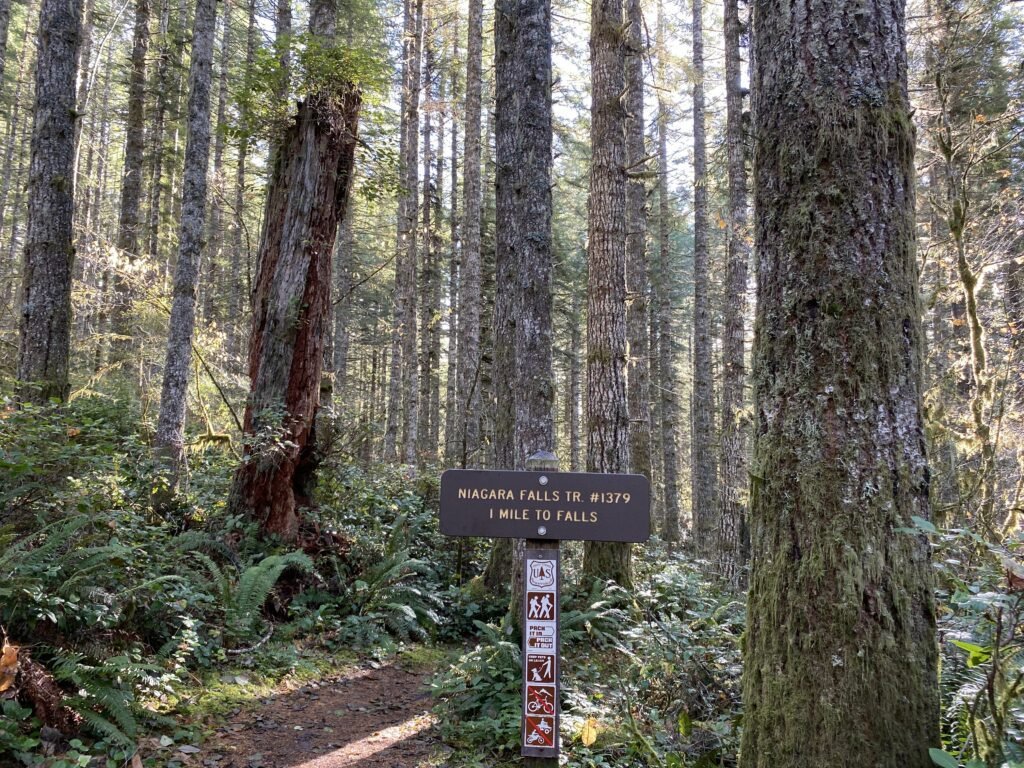 Guided Hikes with Oregon Wild!