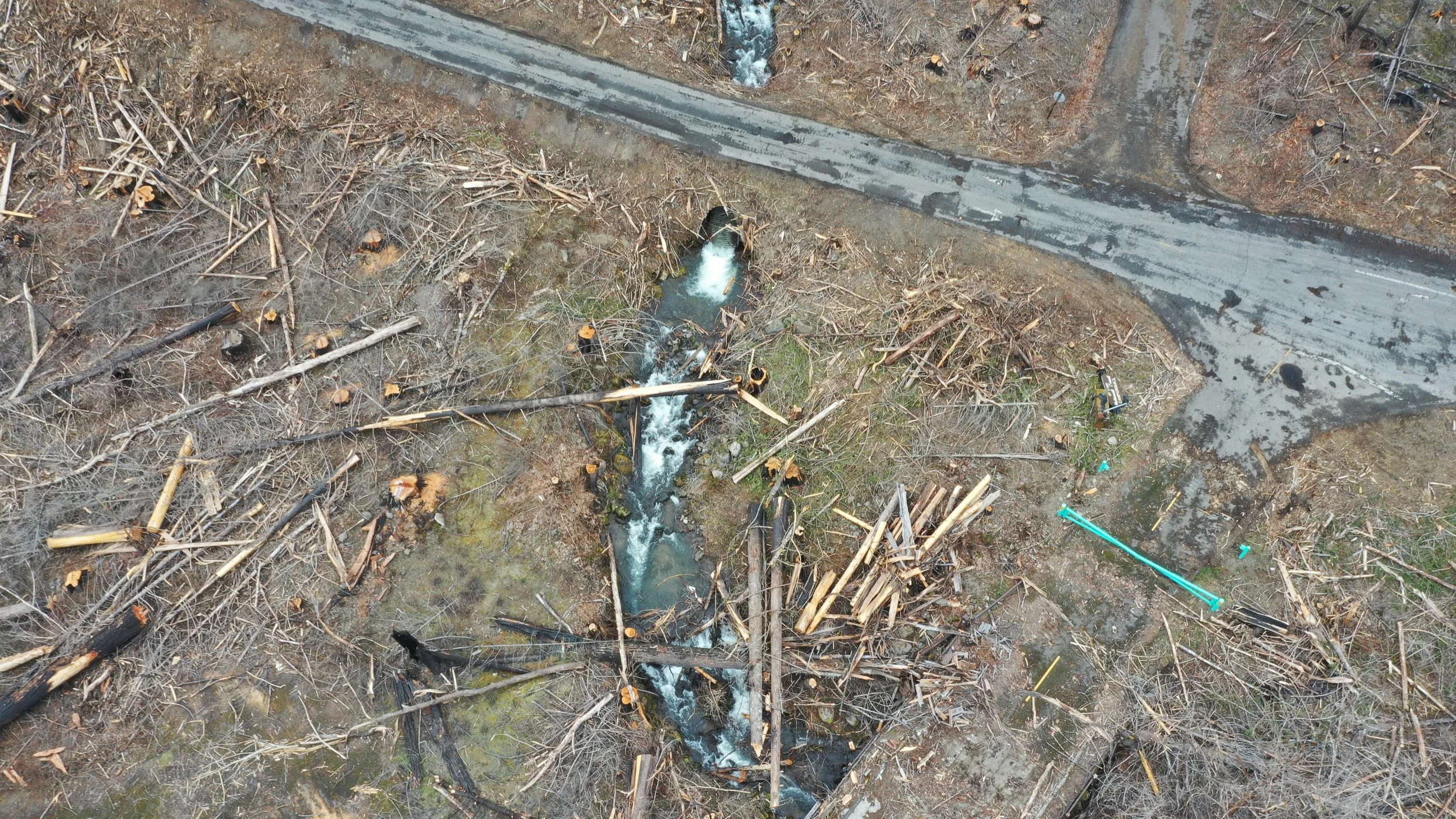 Mt. Hood National Forest - "Clackamas Fires Roadside Hazard Tree Abatement" sale, along Road 4620. his photo shows Whale Creek and the entrance to Indian Henry Campground.  (Credit: Michael Krochta 2023). T