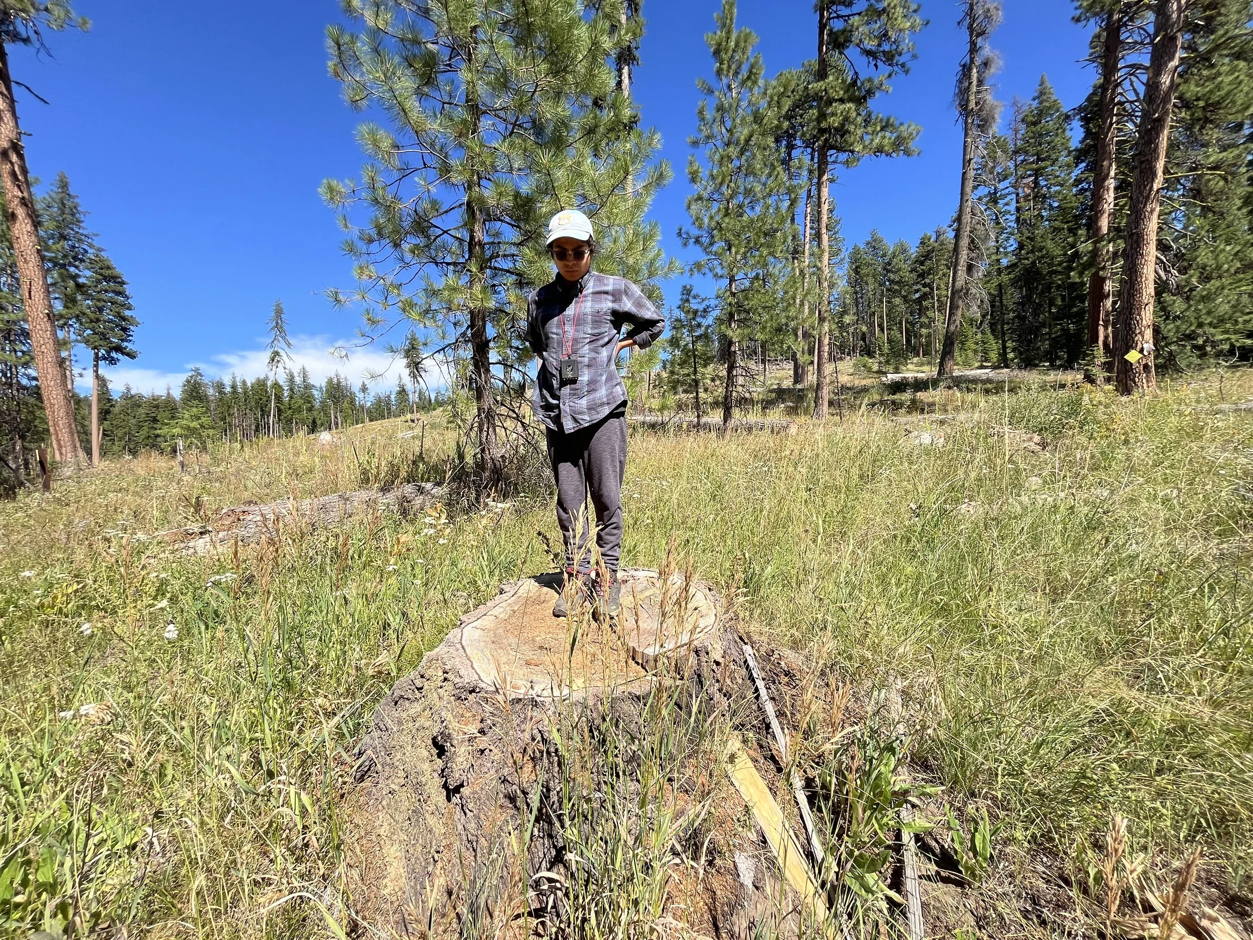 Ochoco National Forest - Walton Lake "Restoration Project" (Credit: Blue Mountains Biodiversity Project 2025)