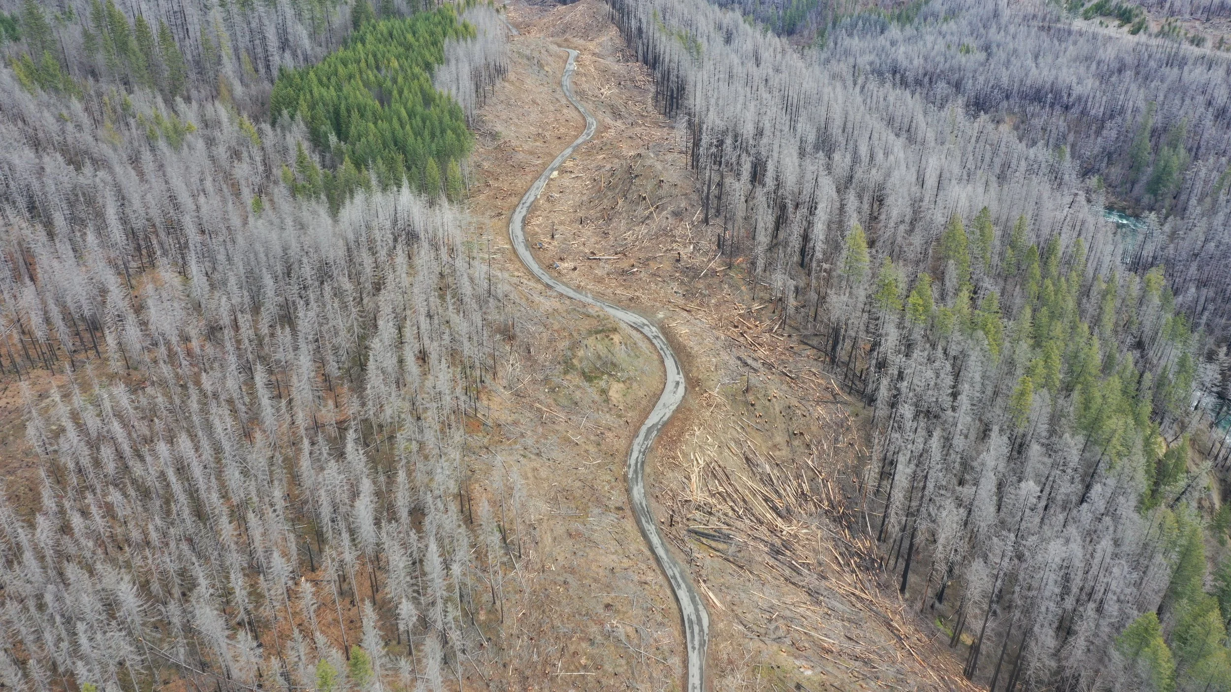 Mt. Hood National Forest - "Clackamas Fires Roadside Hazard Tree Abatement" sale, along Road 4620. The Forest Service decision memo for the sale states that "This proposal is rooted in our agency’s core value of safety, which has been codified in our