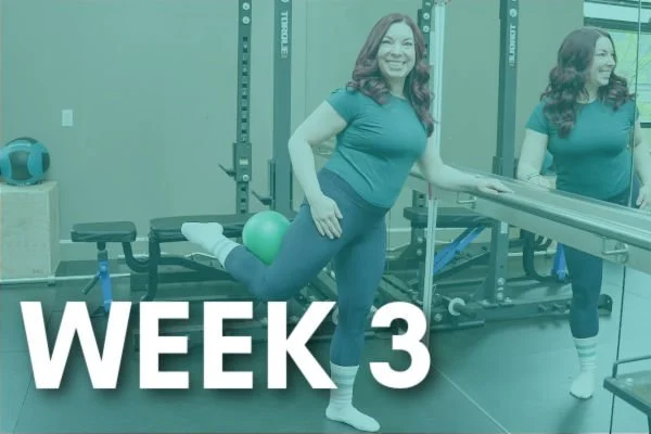 Online barre week 3.jpg