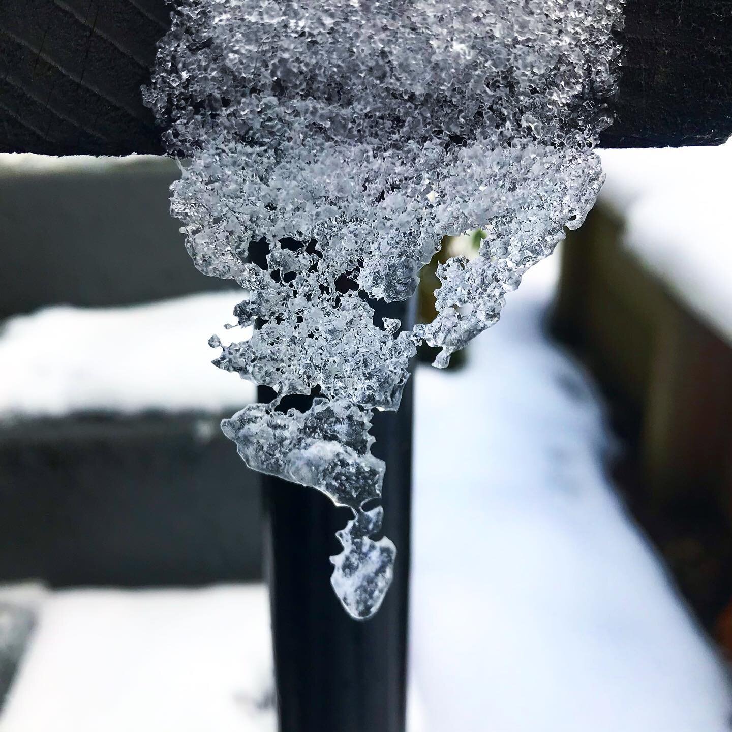 End of the handrail: winter chandelier ❄️ #snowday #snow #ice #icecrystals #blackandwhite #melting