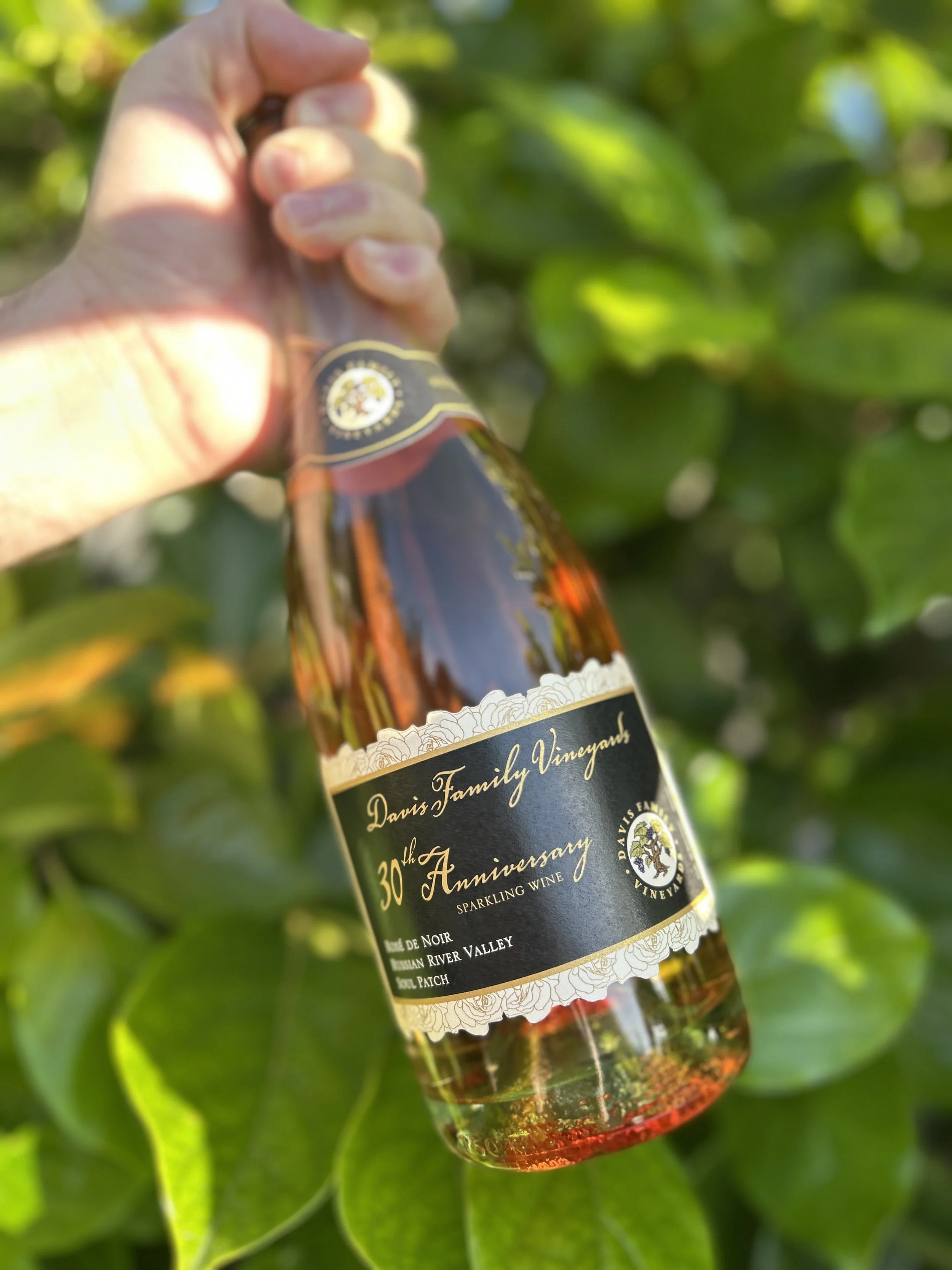 30th Anniversary Sparkling Rosé de Noir