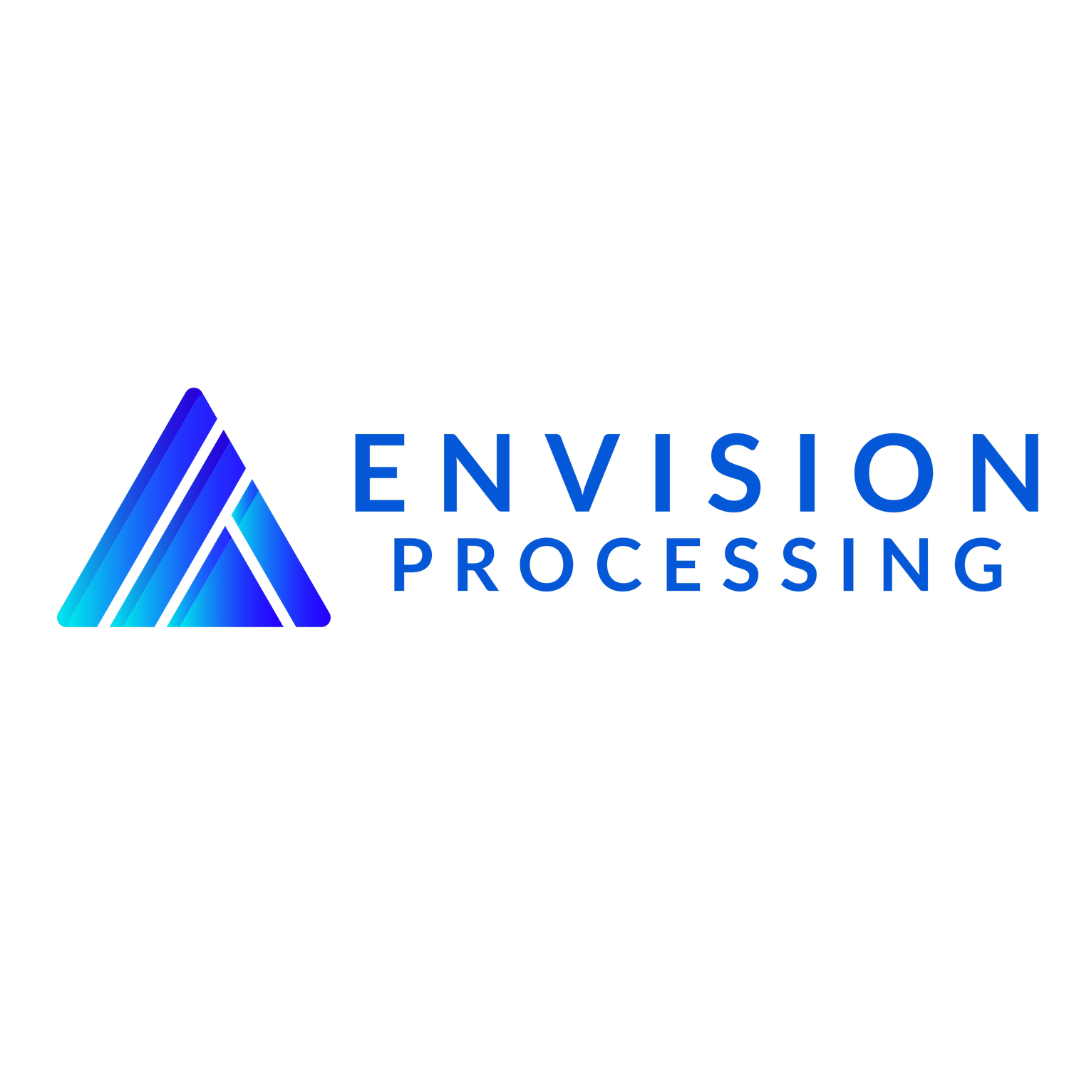 Envision Processing
