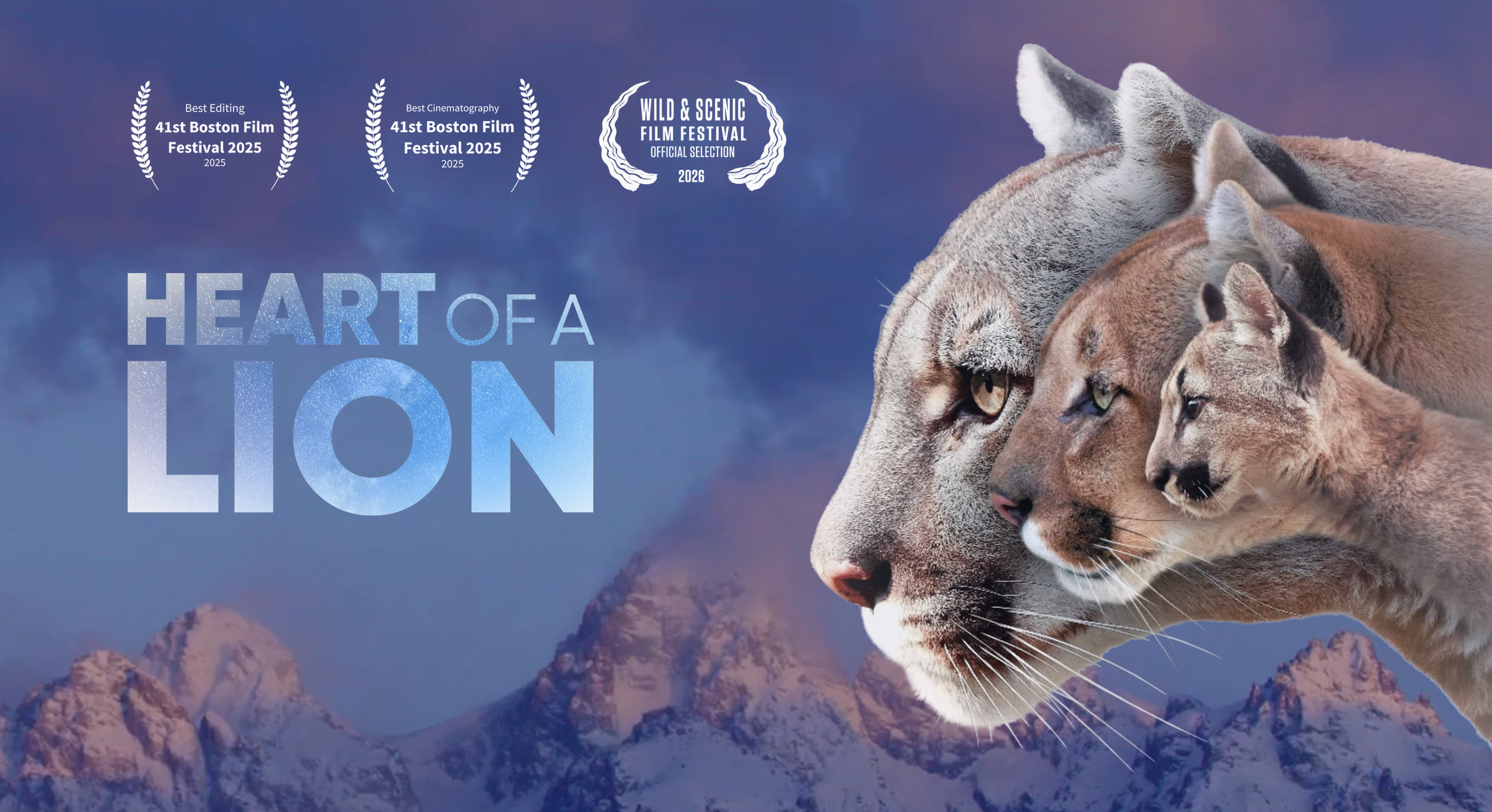 Screen Shot 2026-02-09 at 9.46.09 AM.png