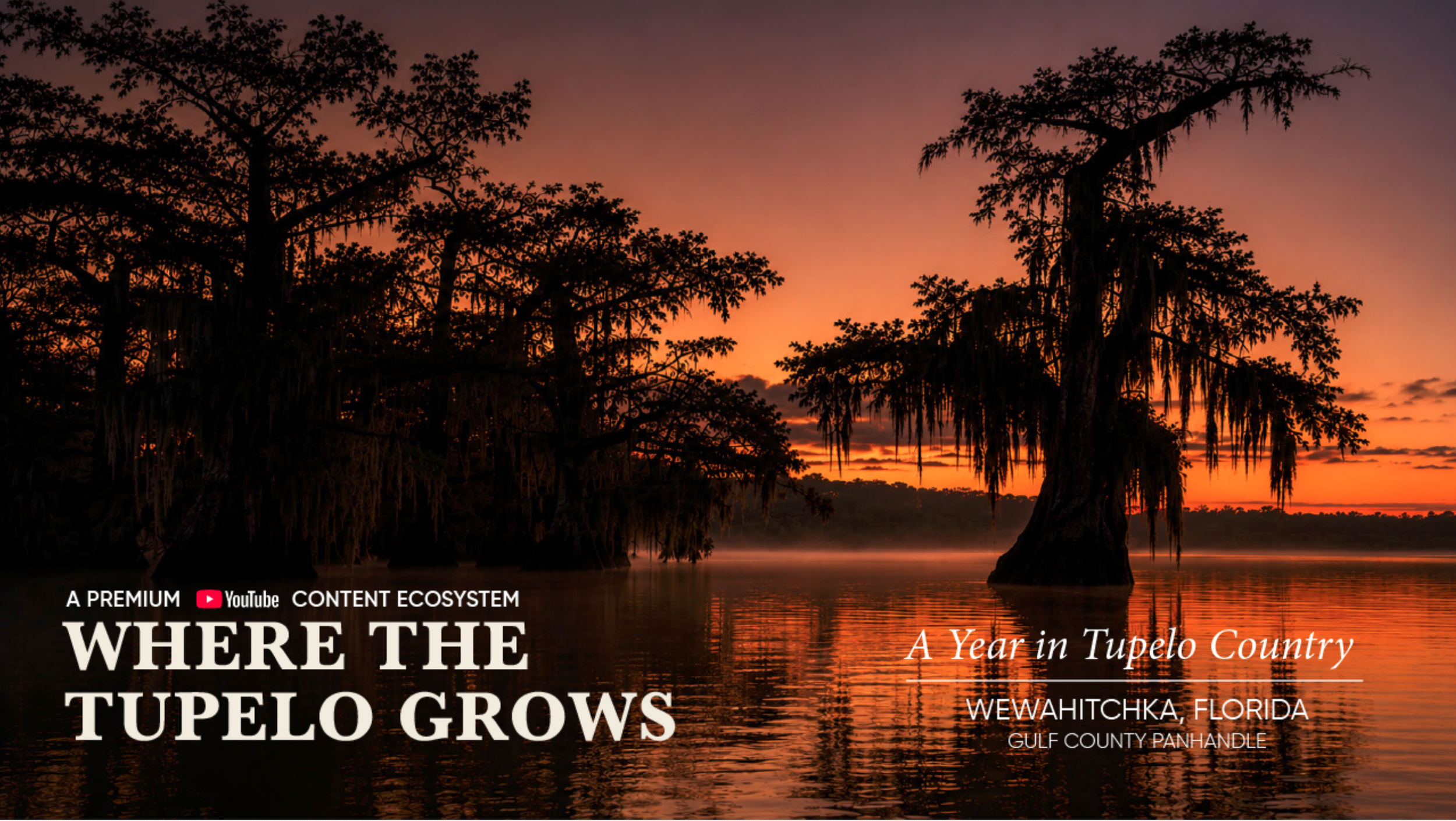 WHERE THE TUPELO GROWS - Director