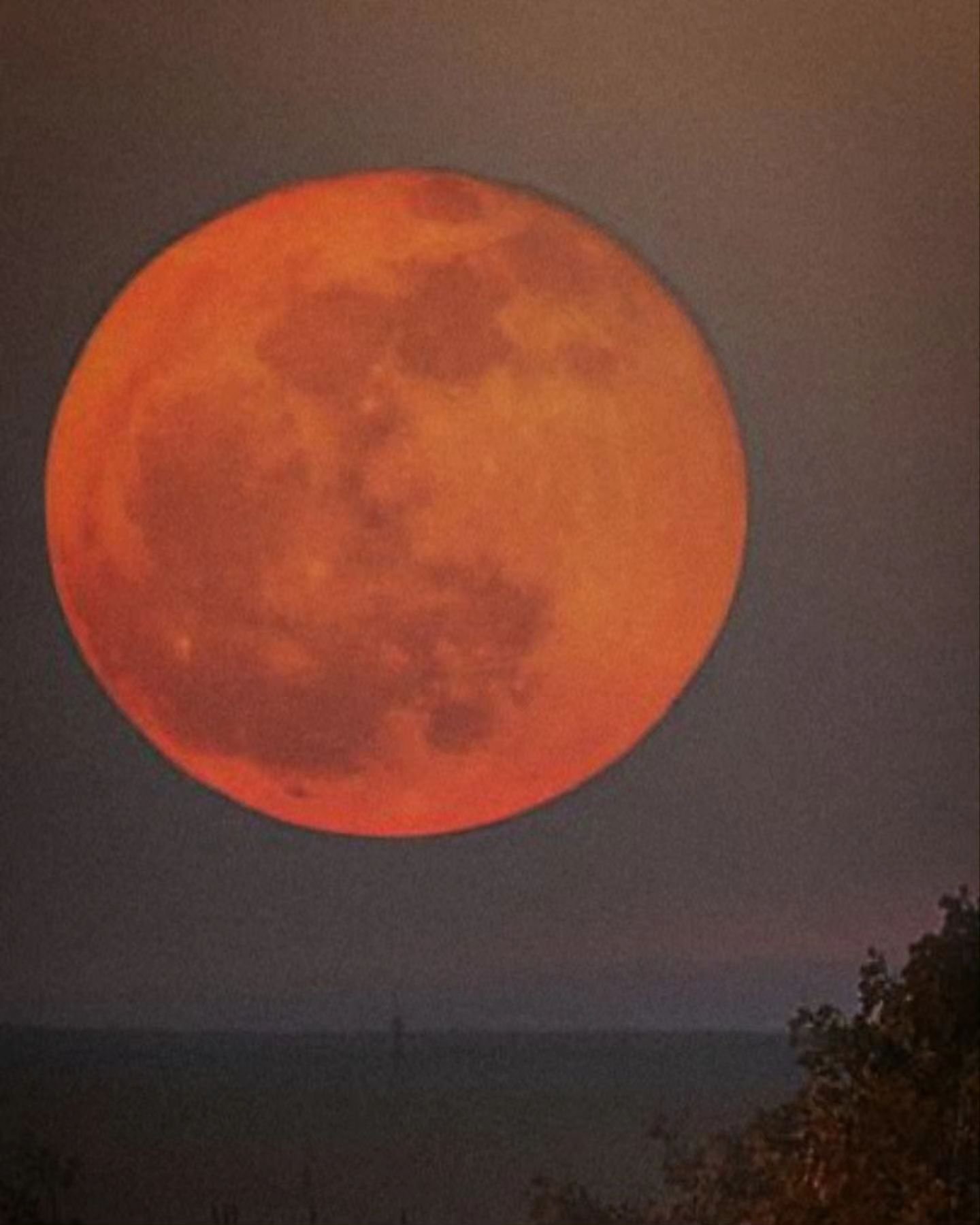 You can&rsquo;t &ldquo;blame the Moon&rdquo; but it effects everything...

&quot;tsuki ga kirei desu ne&quot;, 
&ldquo;The moon is beautiful, isn&rsquo;t it?&rdquo; could mean &ldquo;I love you&rdquo; in Japanese. It can be used to express romantic f