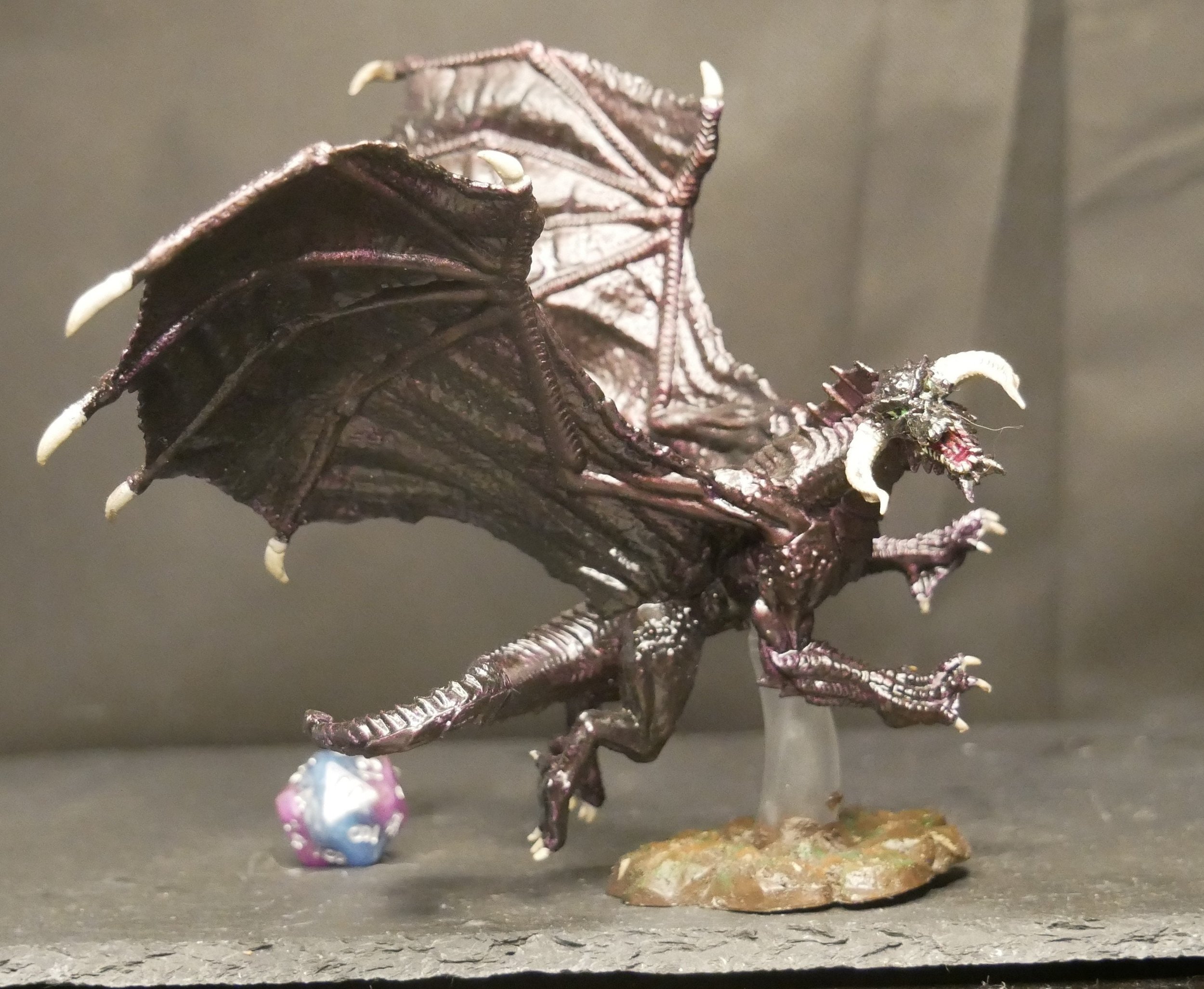 Hand painted Young Black Dragon